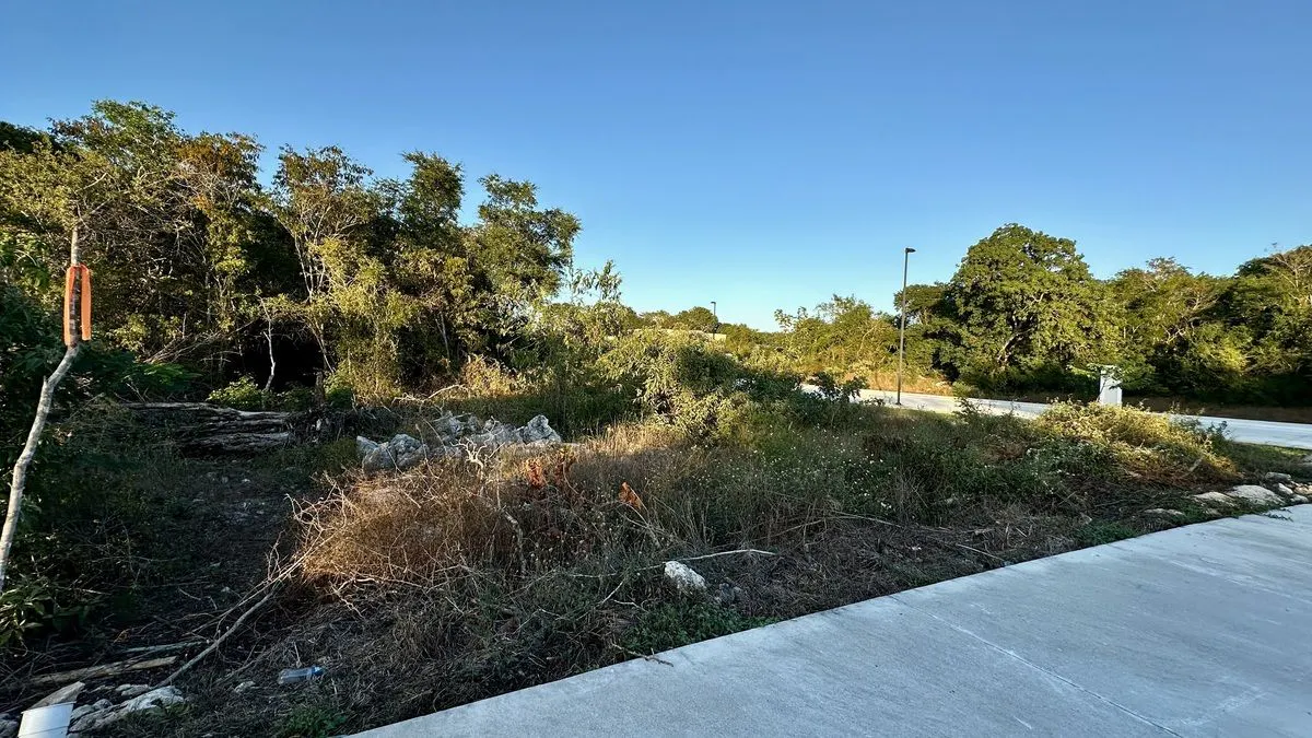 Terreno Spot2