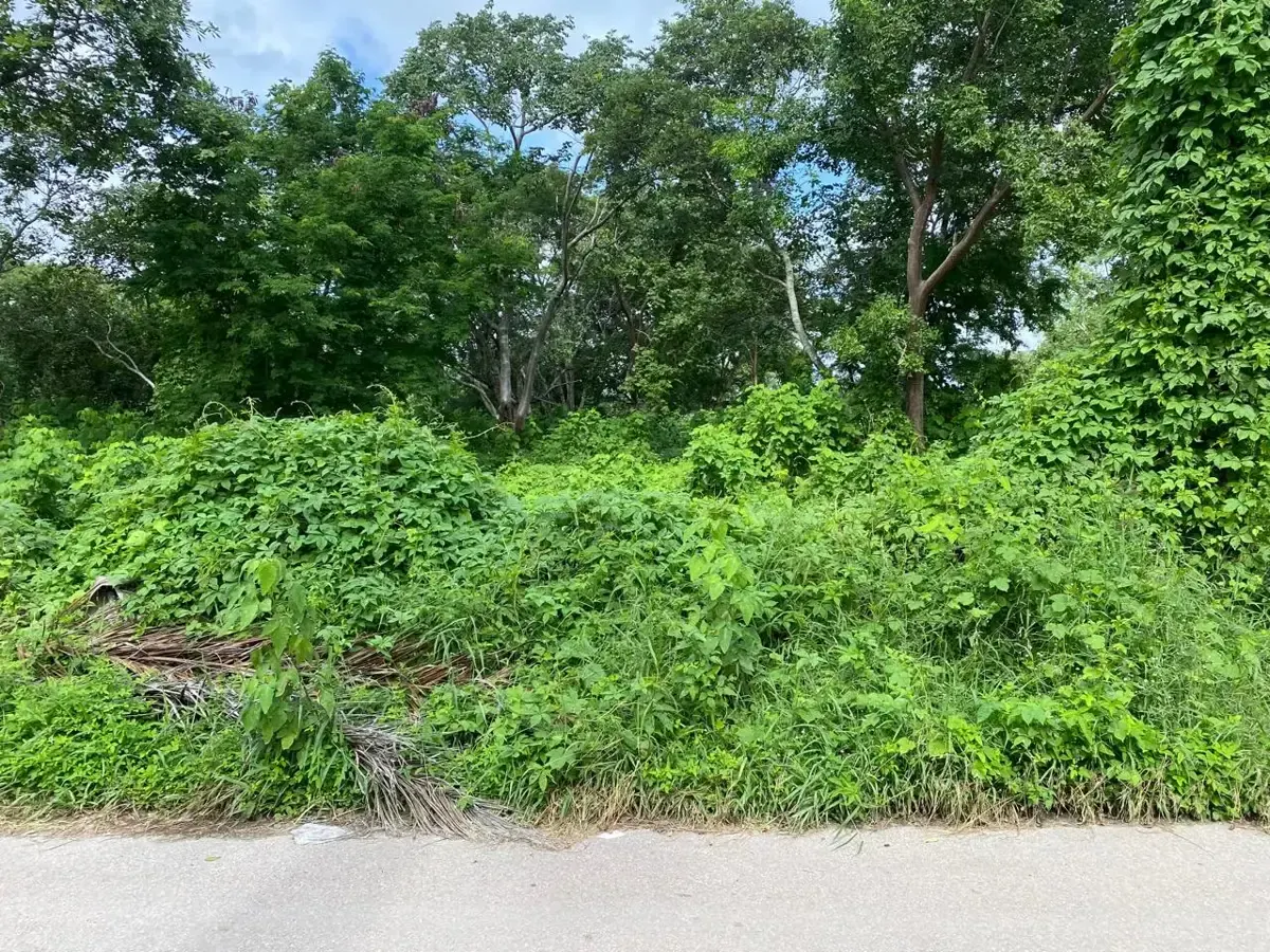 Terreno Spot2
