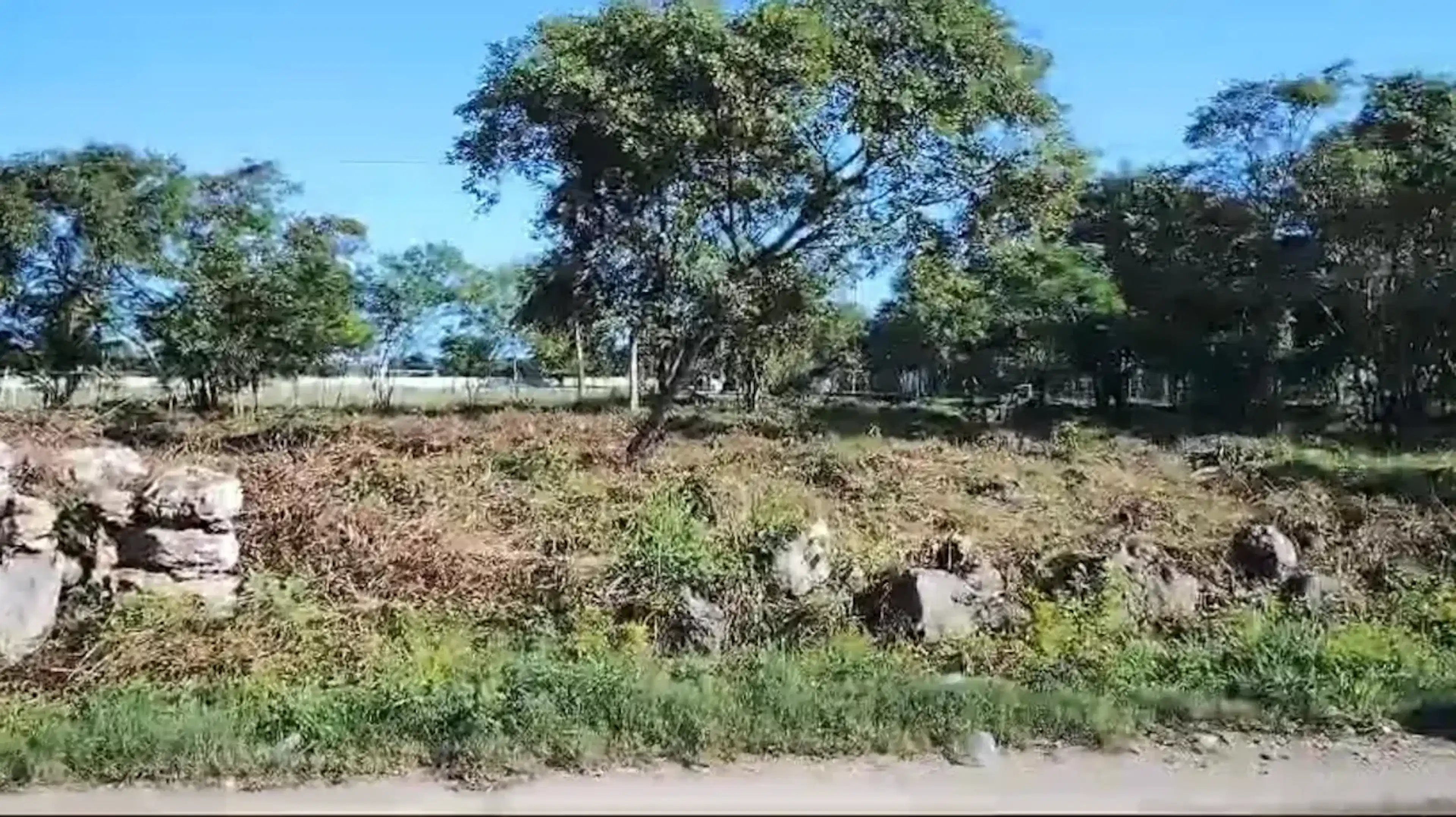 Terreno En Venta En Conkal, Conkal, Yucatán