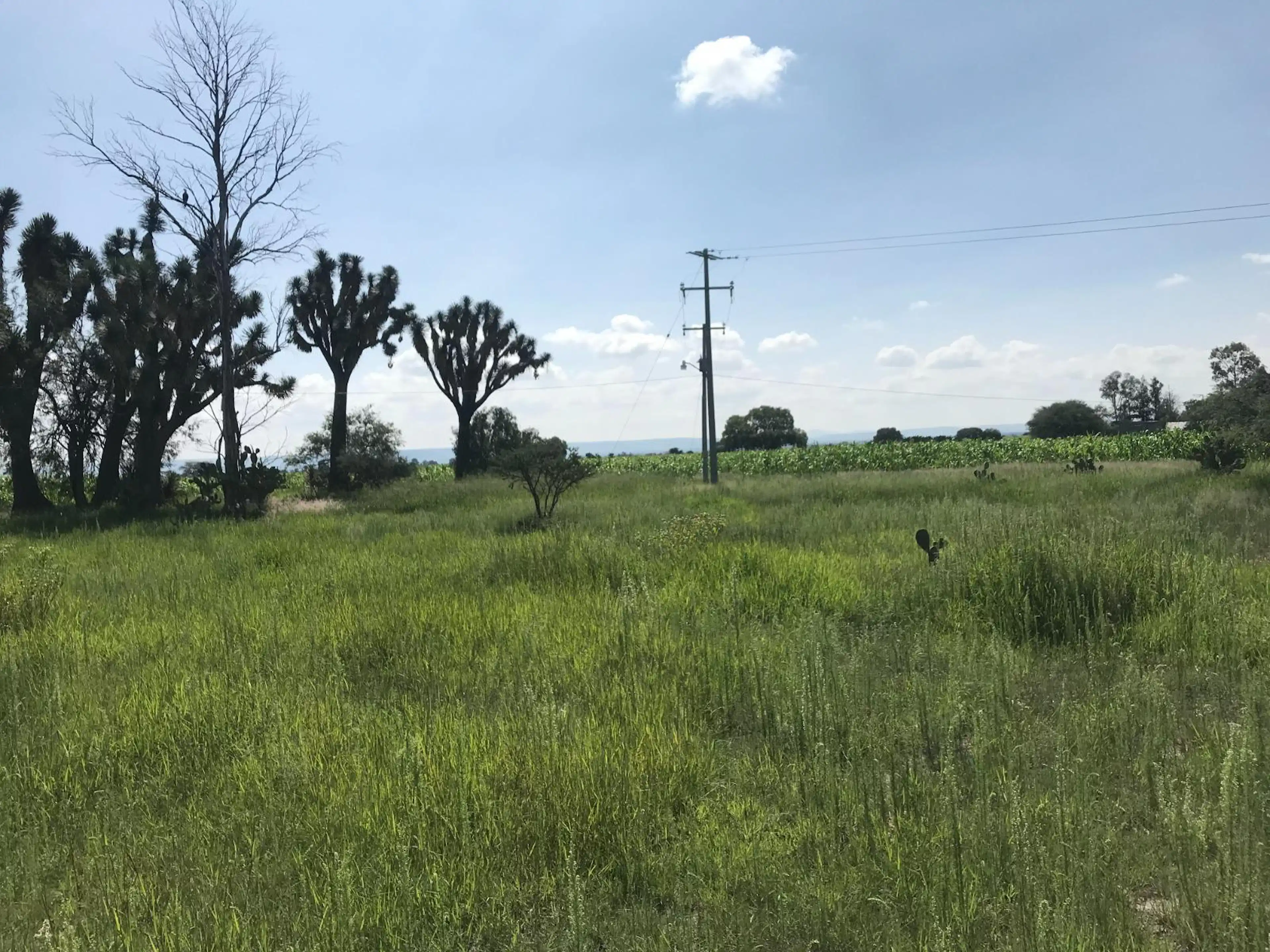 Terreno En El Llano, Santa Clara, Aguascalientes