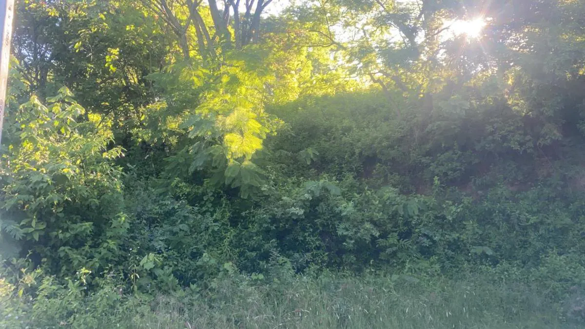 Terreno Spot2