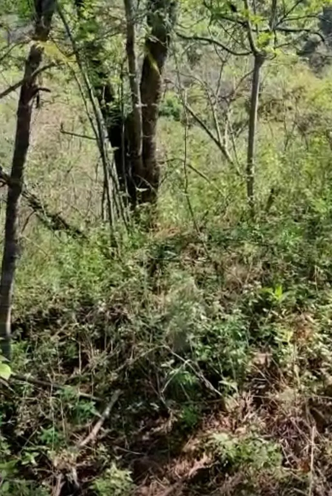 Terreno Spot2
