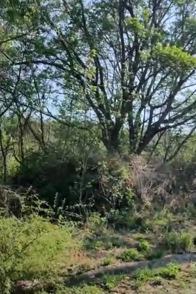 Terreno Spot2
