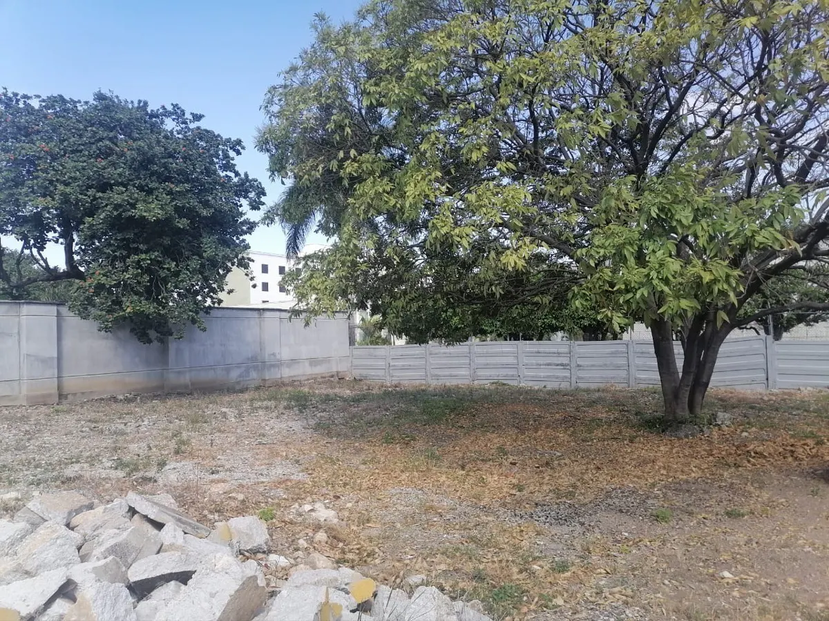 Terreno Spot2