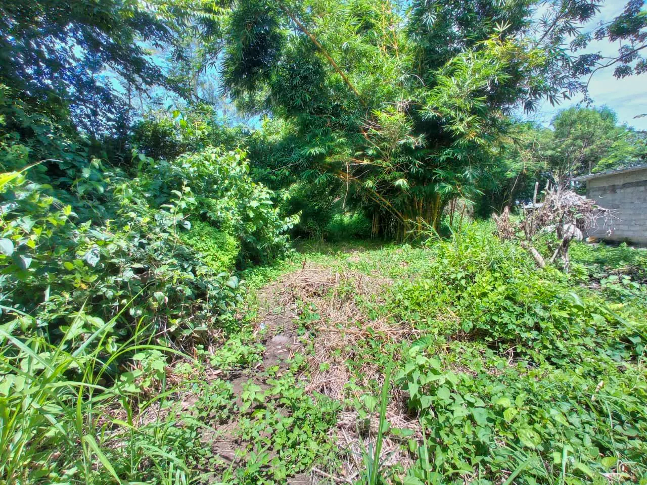 Terreno Spot2