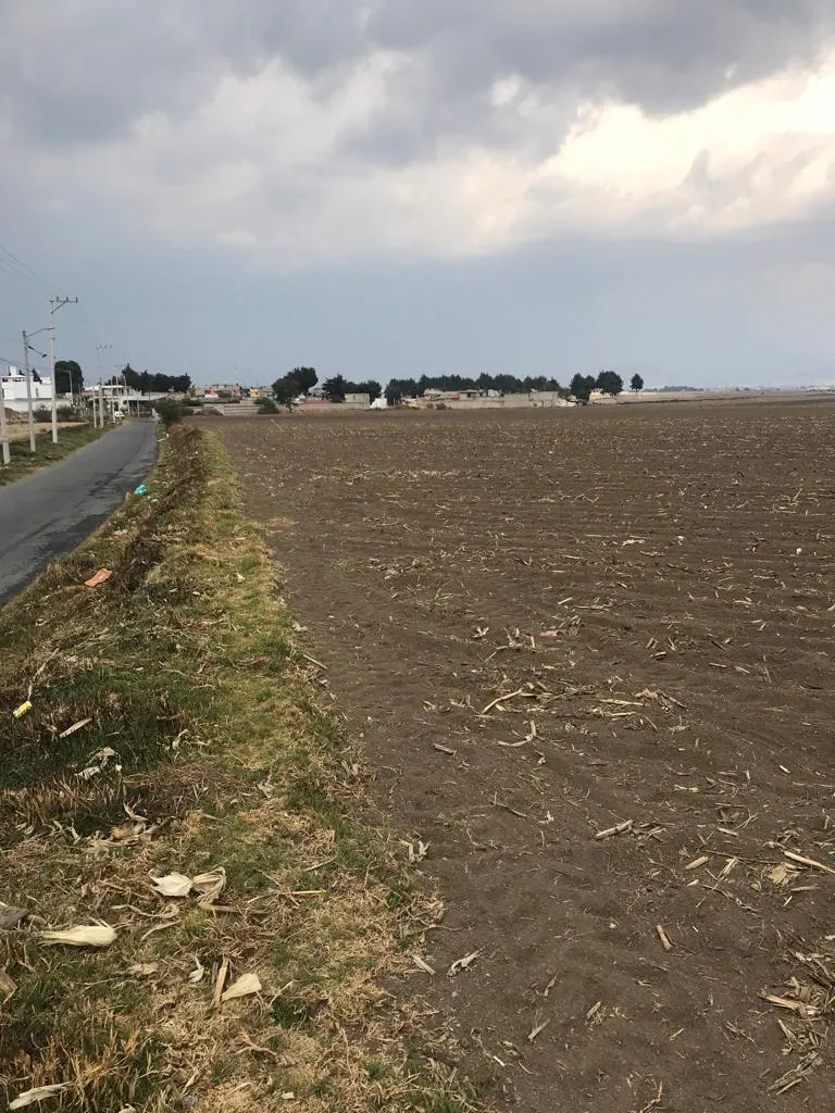 Terreno Spot2