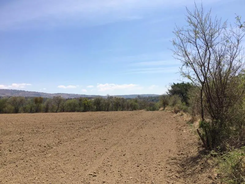 Terreno Spot2