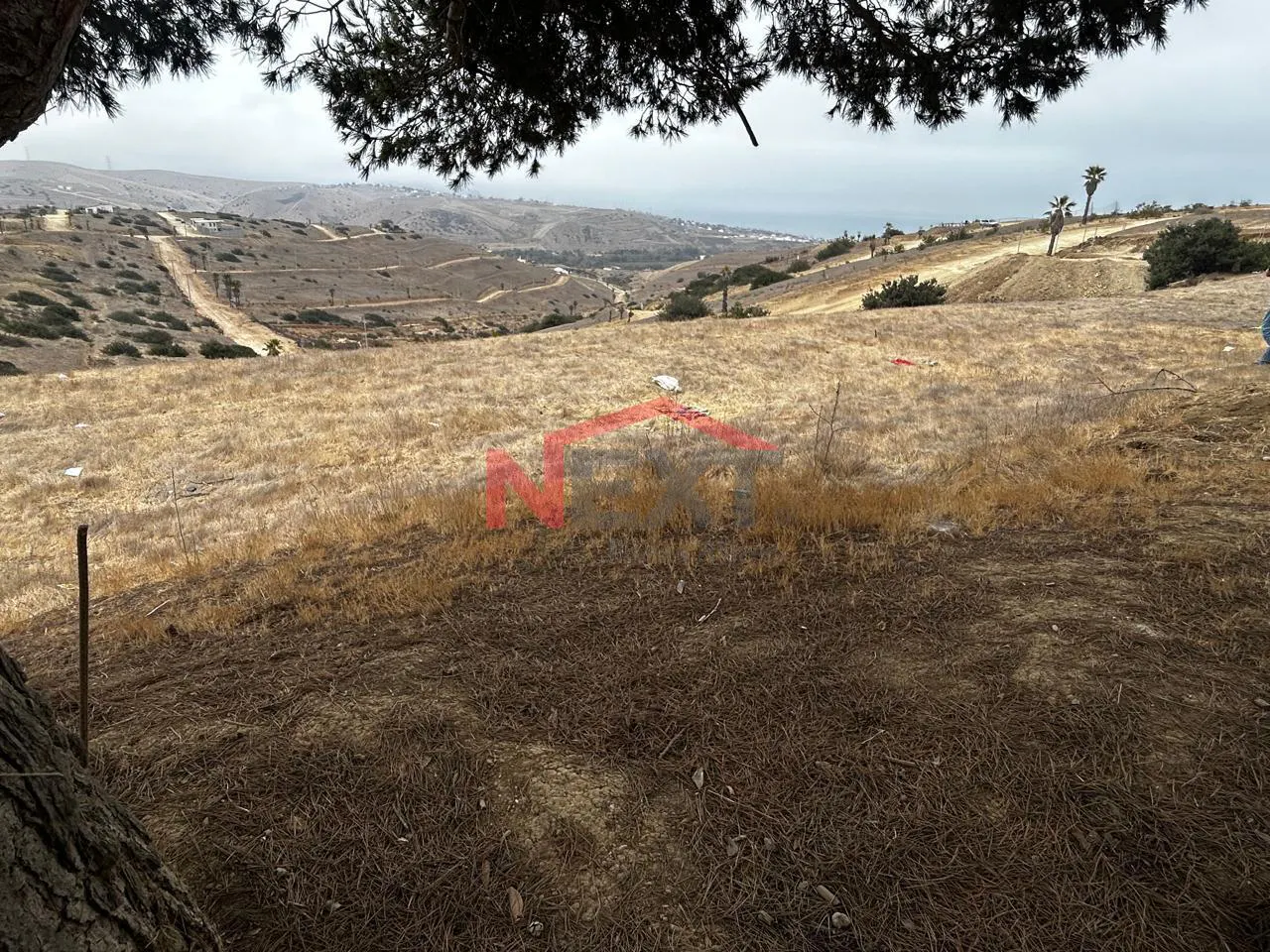 Terreno Spot2