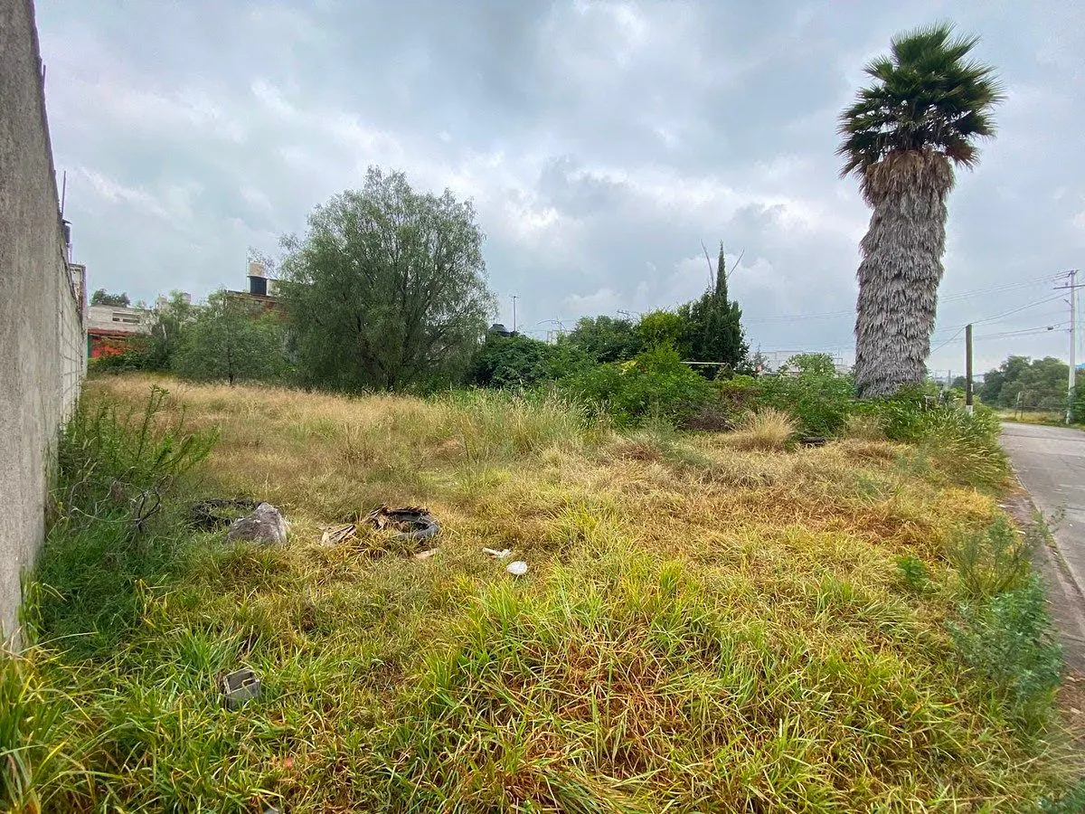 Terreno Spot2