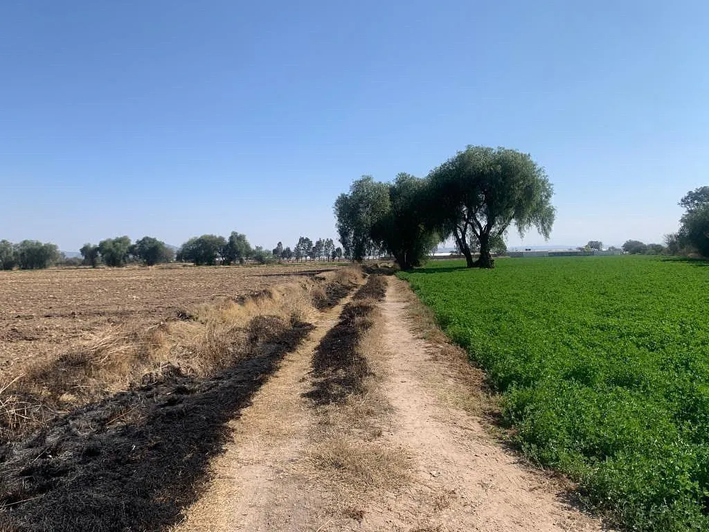 Terreno Spot2