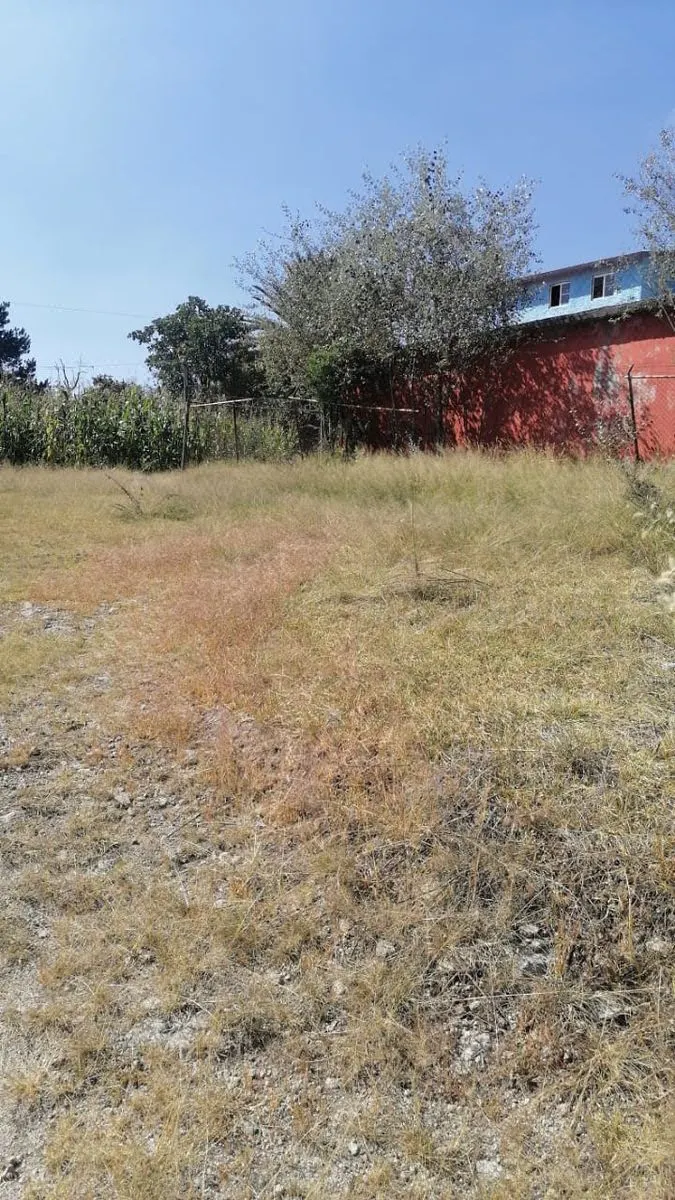Terreno Spot2