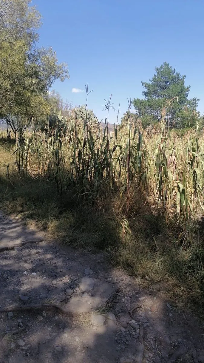 Terreno Spot2