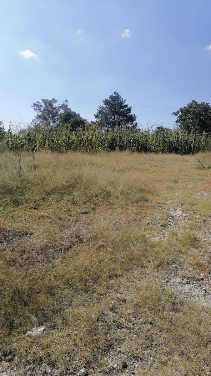 Terreno Spot2