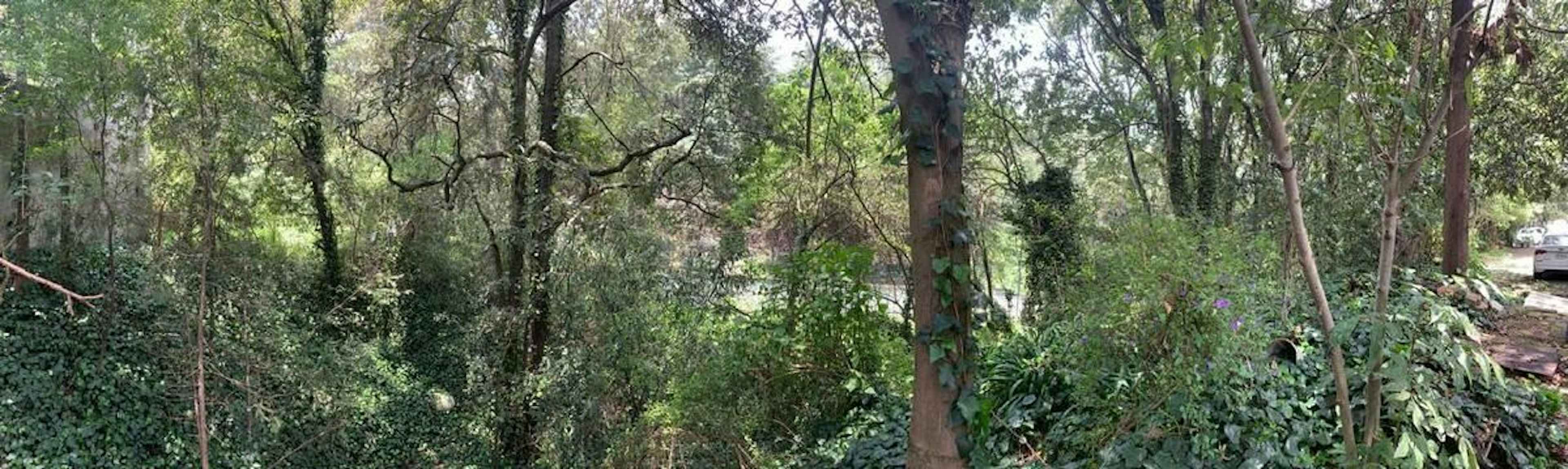 Terreno En Venta En Cuajimalpa
