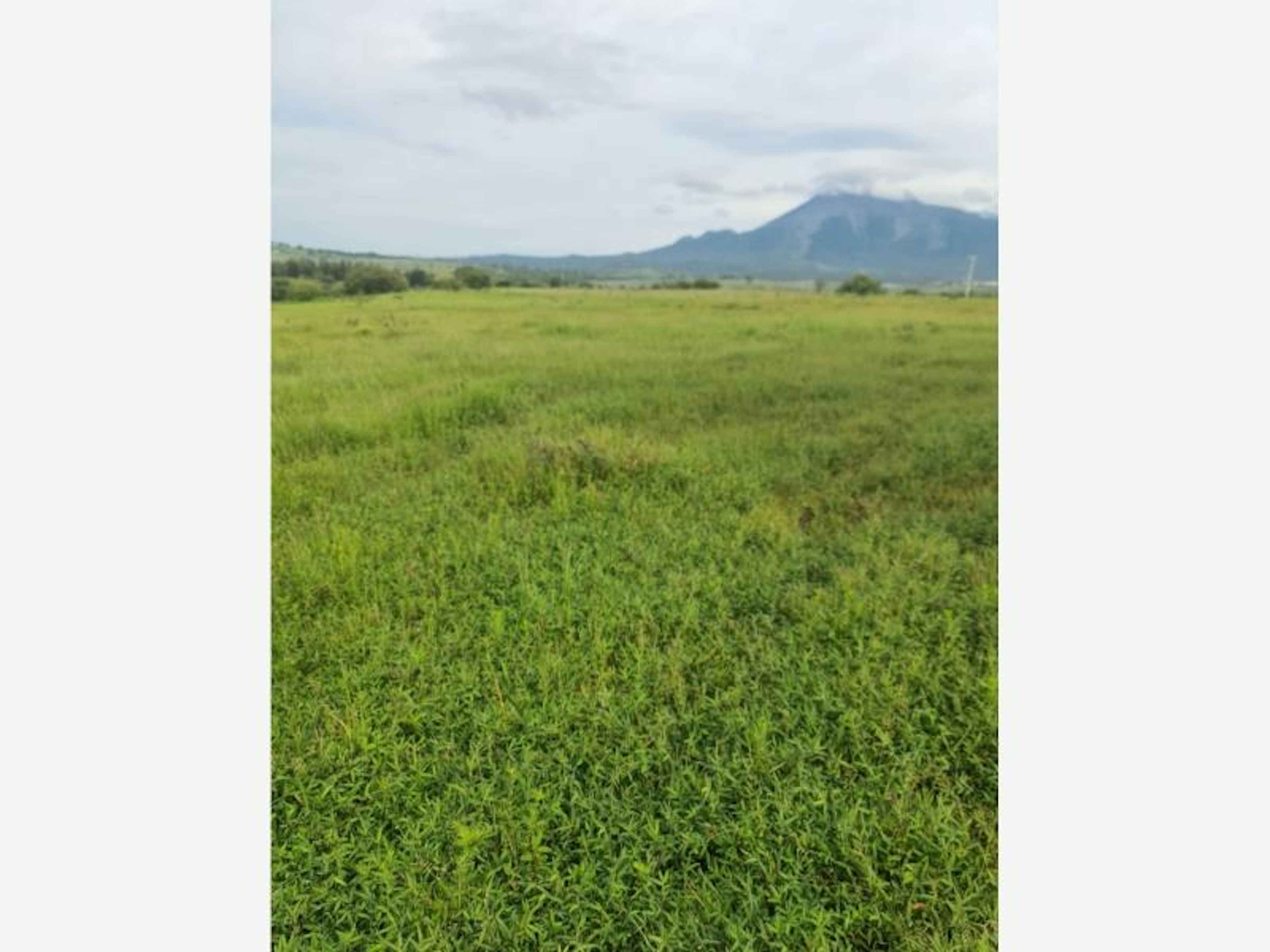 Terreno En San Marcos