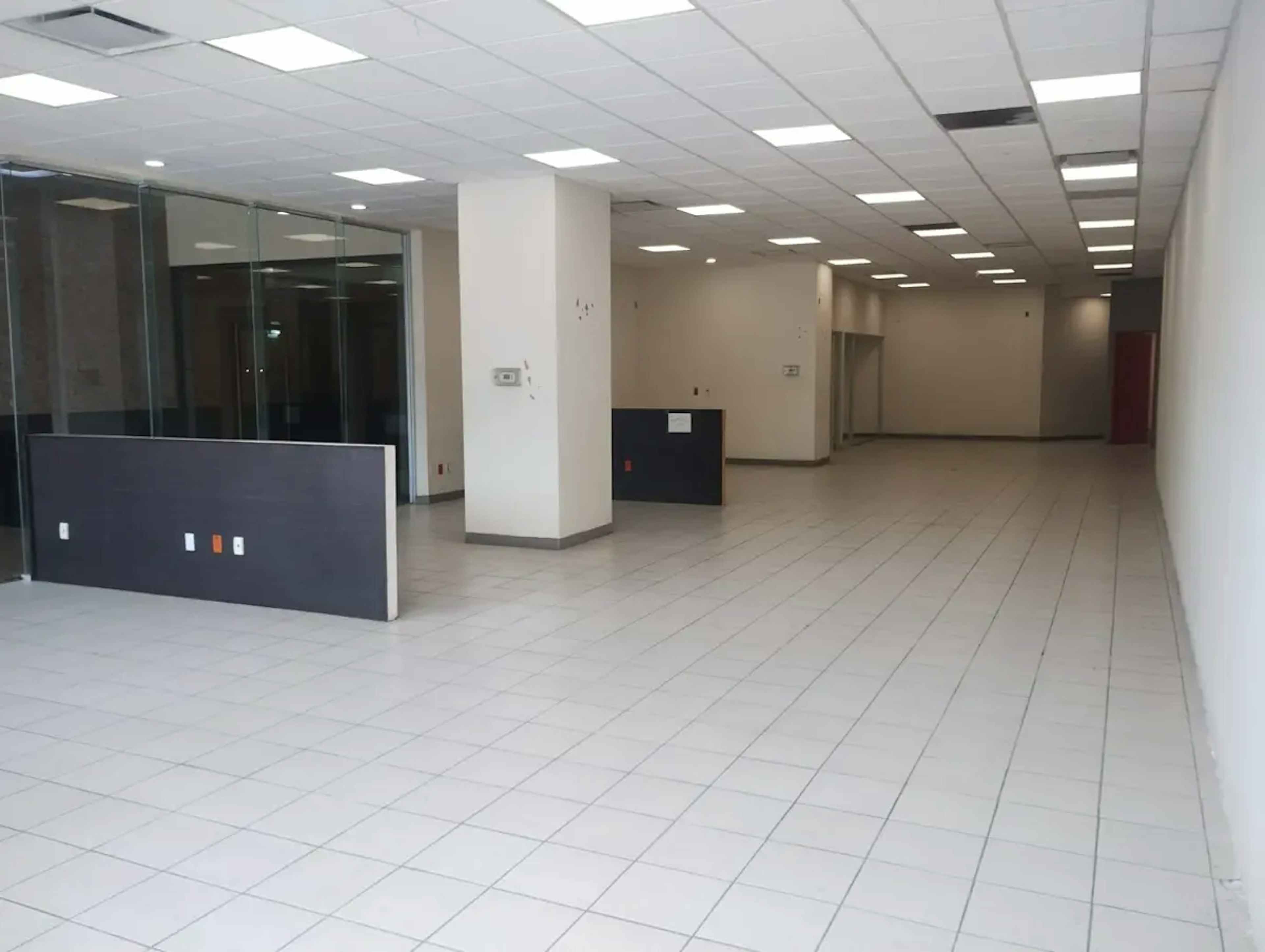 Avenida Paseo De Las Palmas