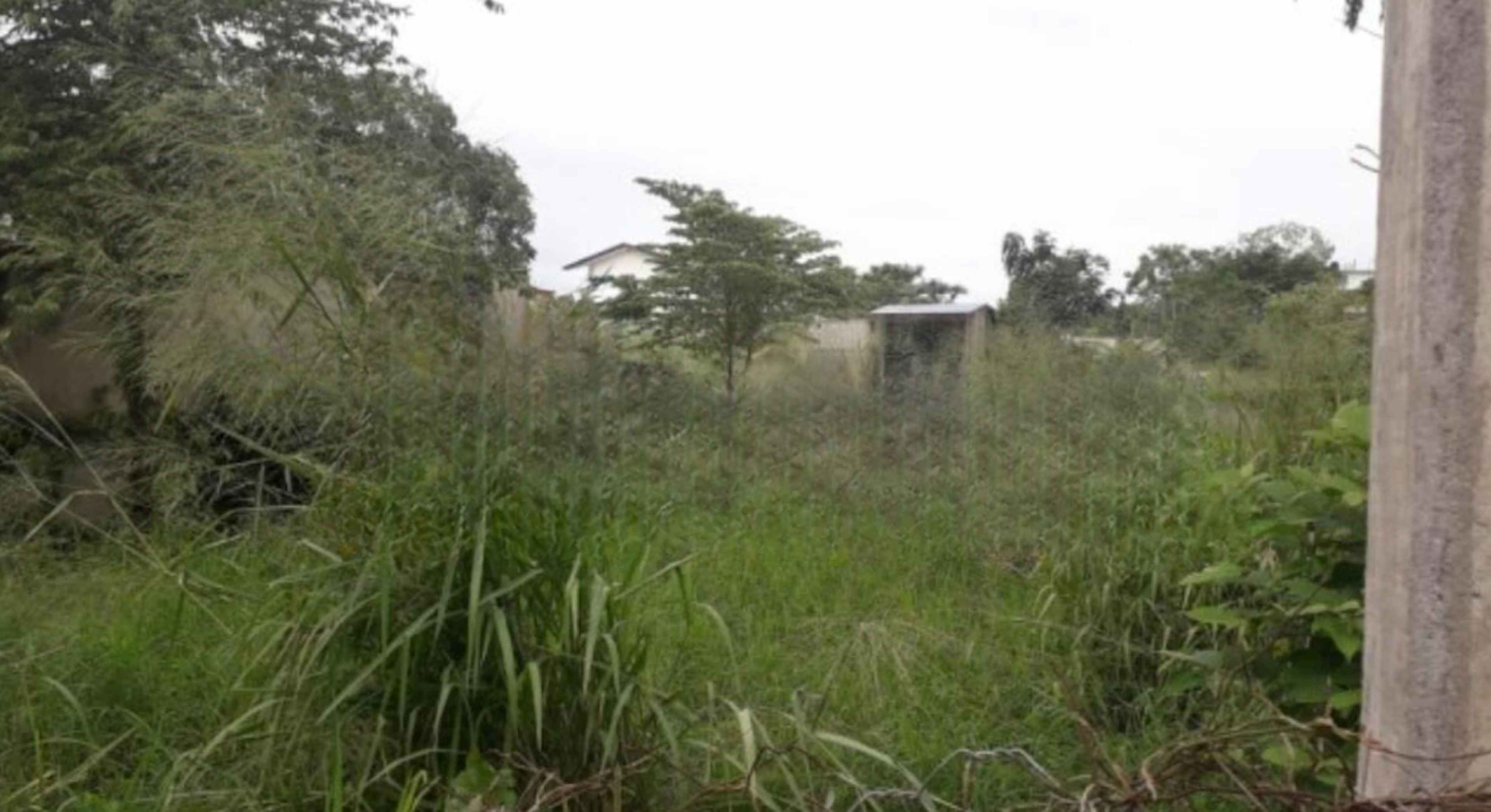 Terreno En Mexicana Miguel Alemán, Tuxpan, Veracruz De Ignacio De La Llave
