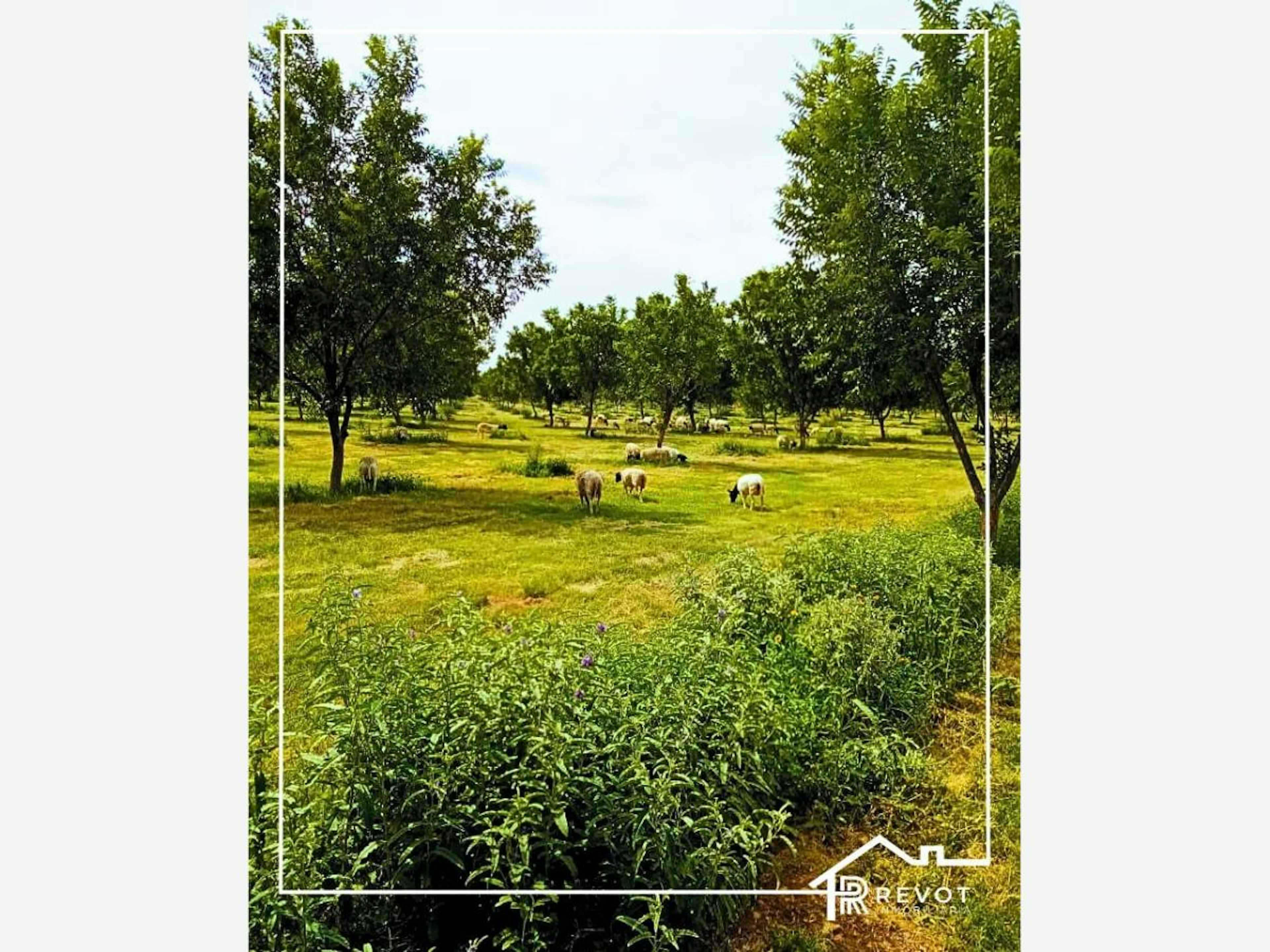 Terreno En Venta En La Loma, Lerdo, Durango