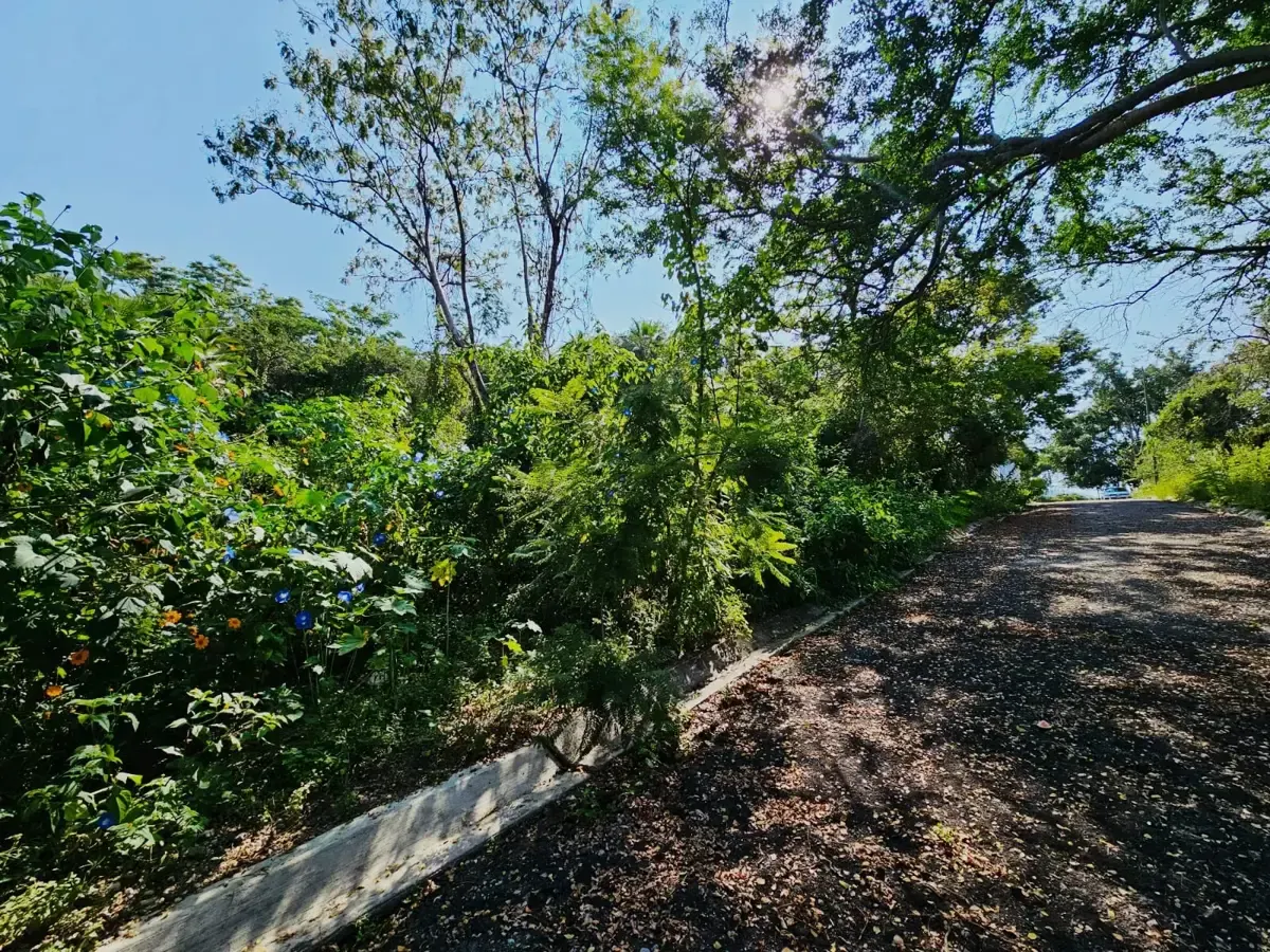 Terreno Spot2