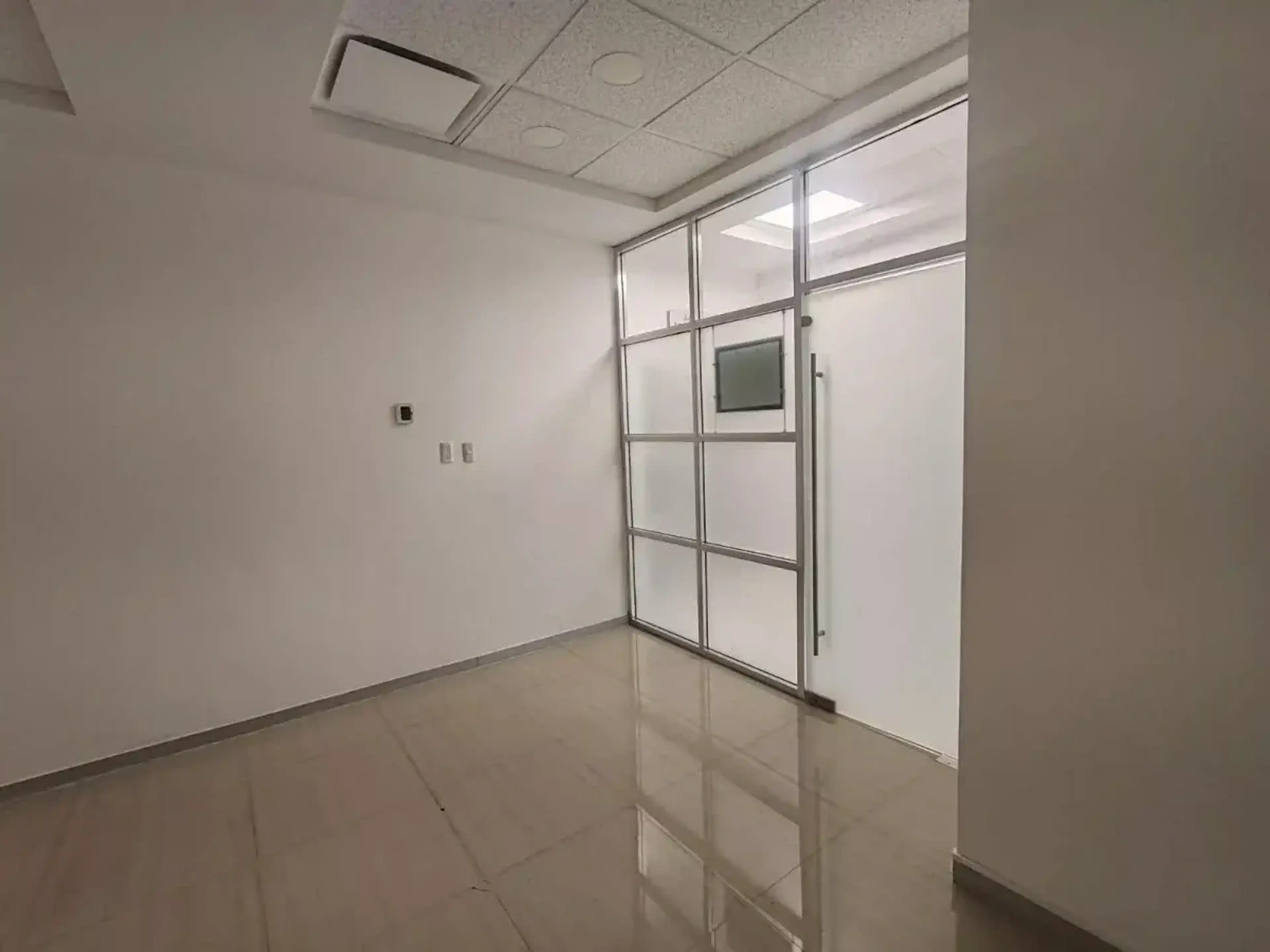 Avenida Del Carrizal