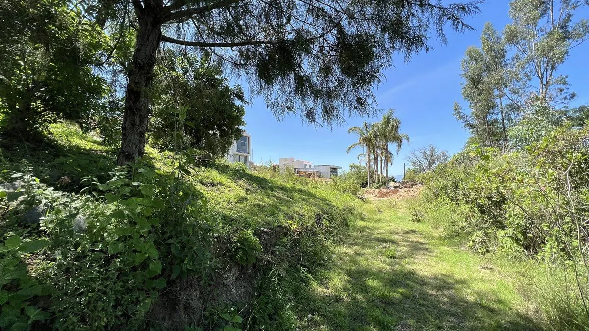 Terreno Spot2
