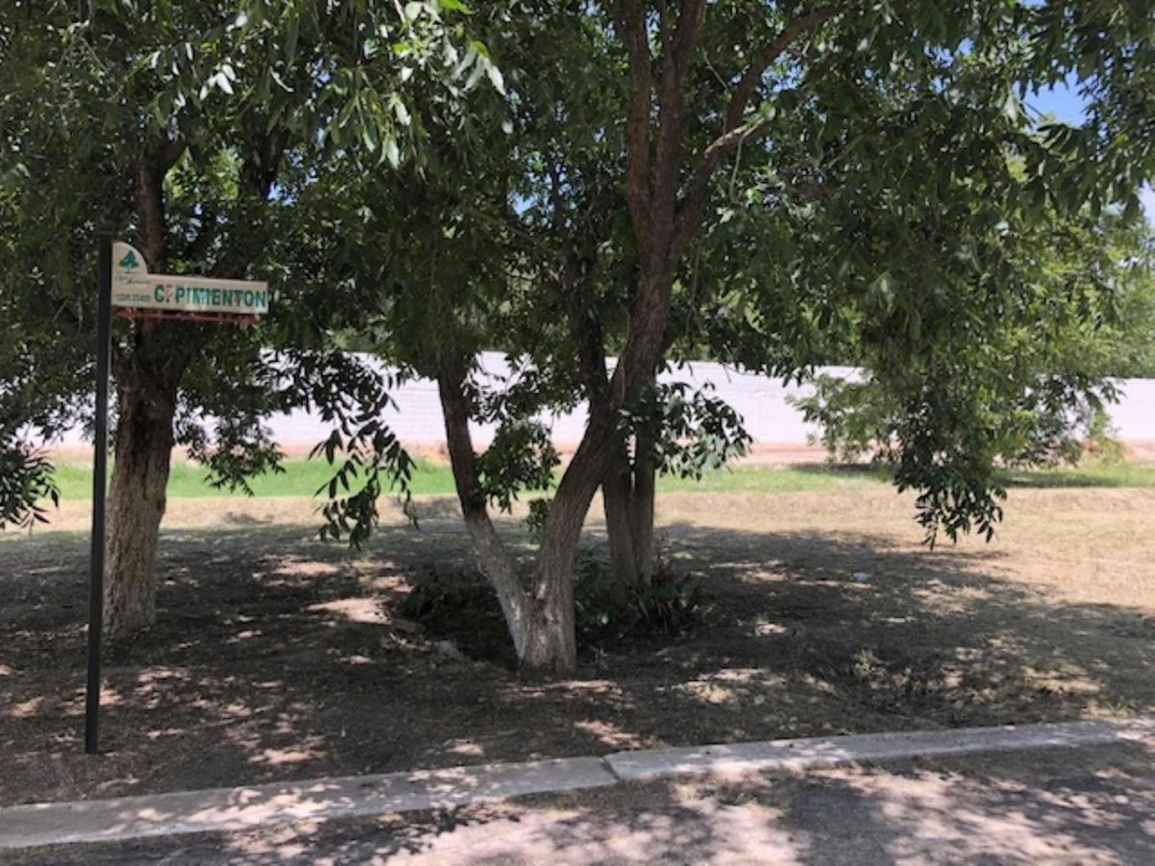 Terreno En Venta En San Armando, Torreón, Coahuila De Zaragoza