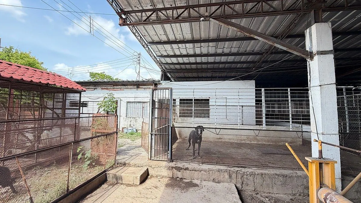 Industrial Spot2