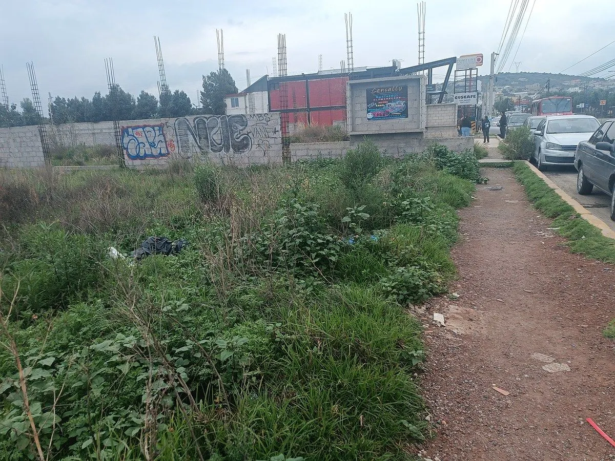 Terreno Spot2