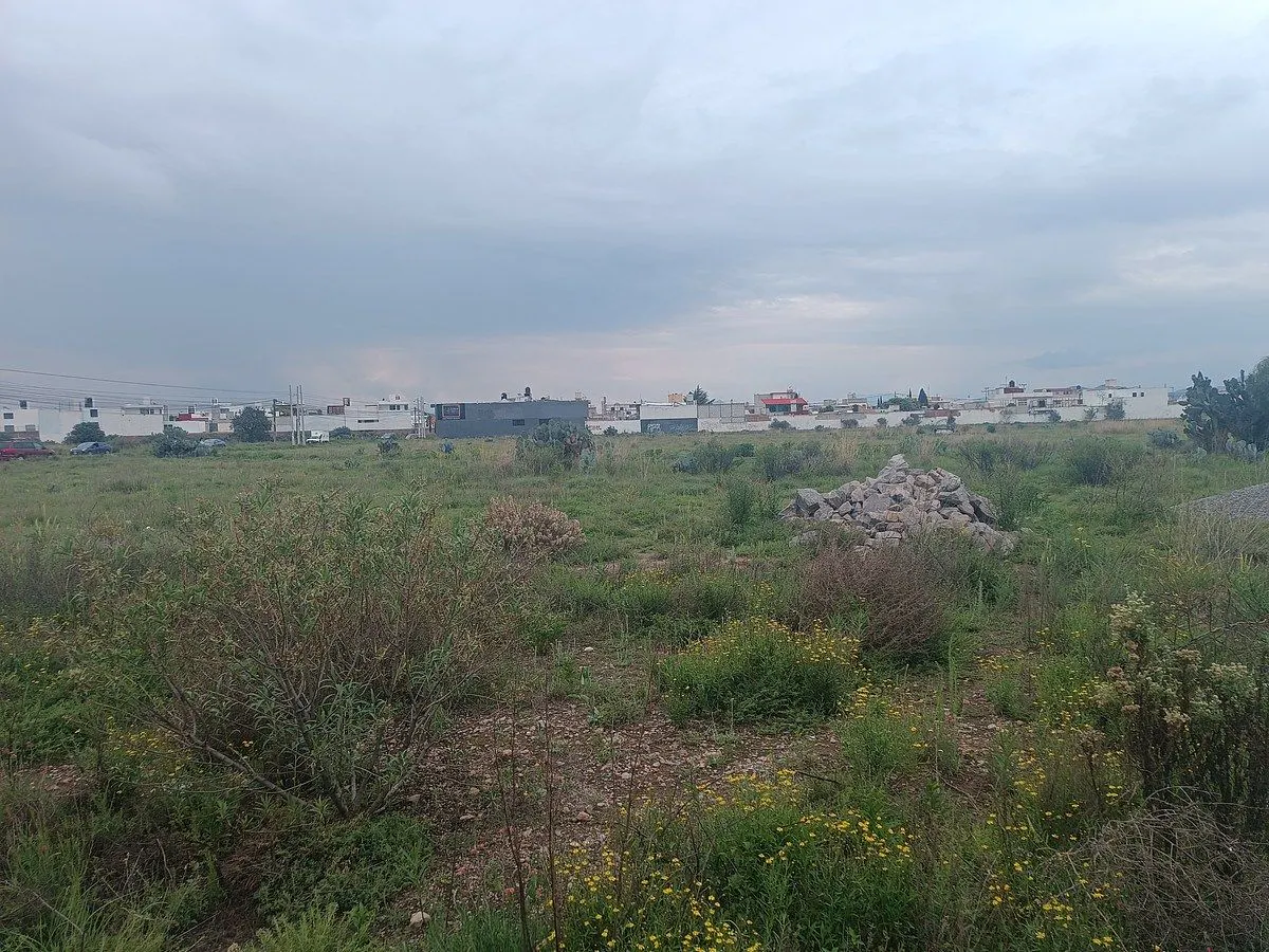 Terreno Spot2