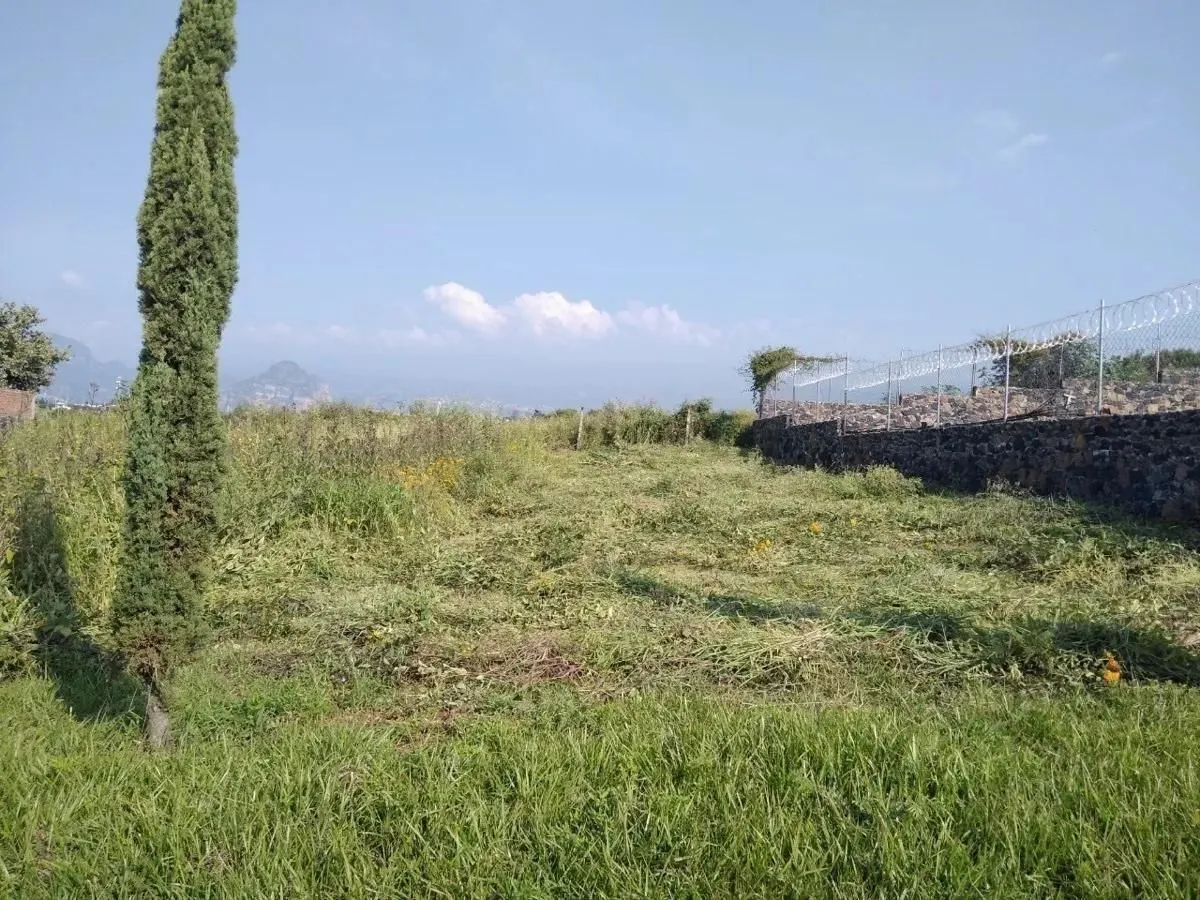 Terreno Spot2