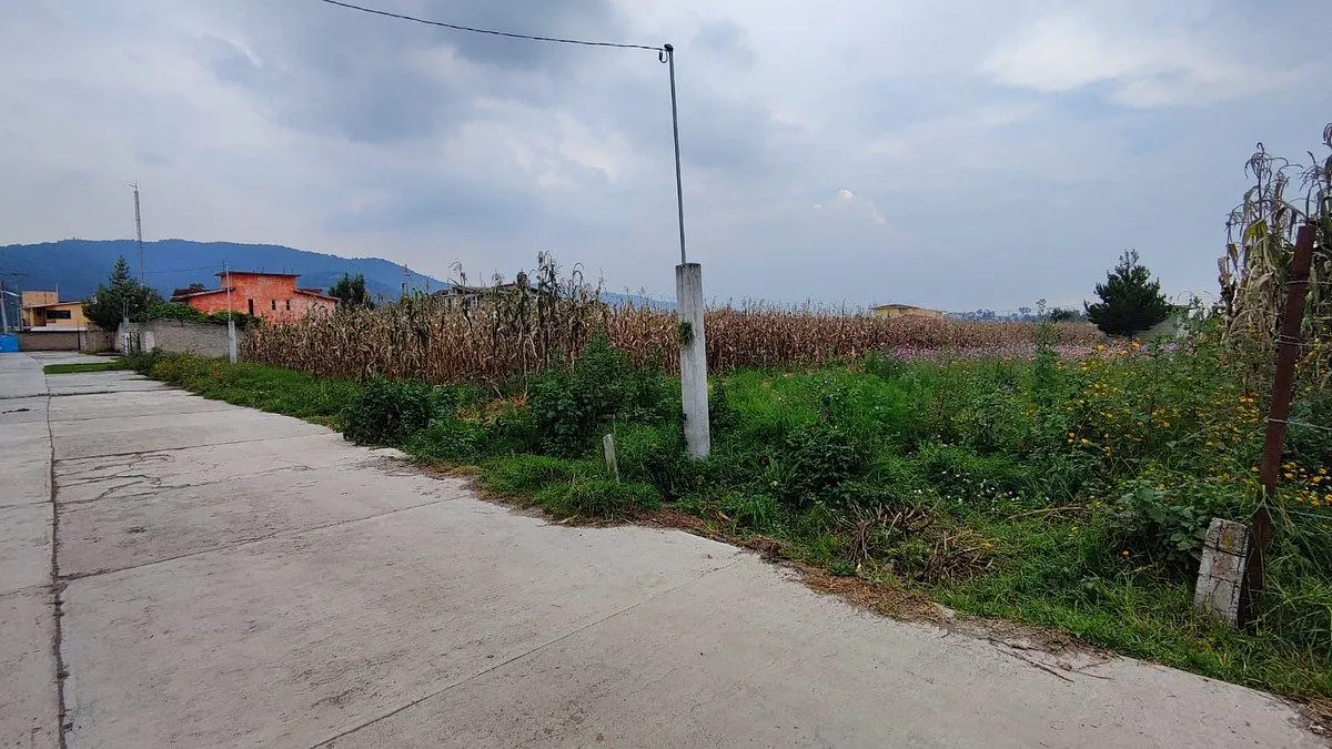 Terreno Spot2