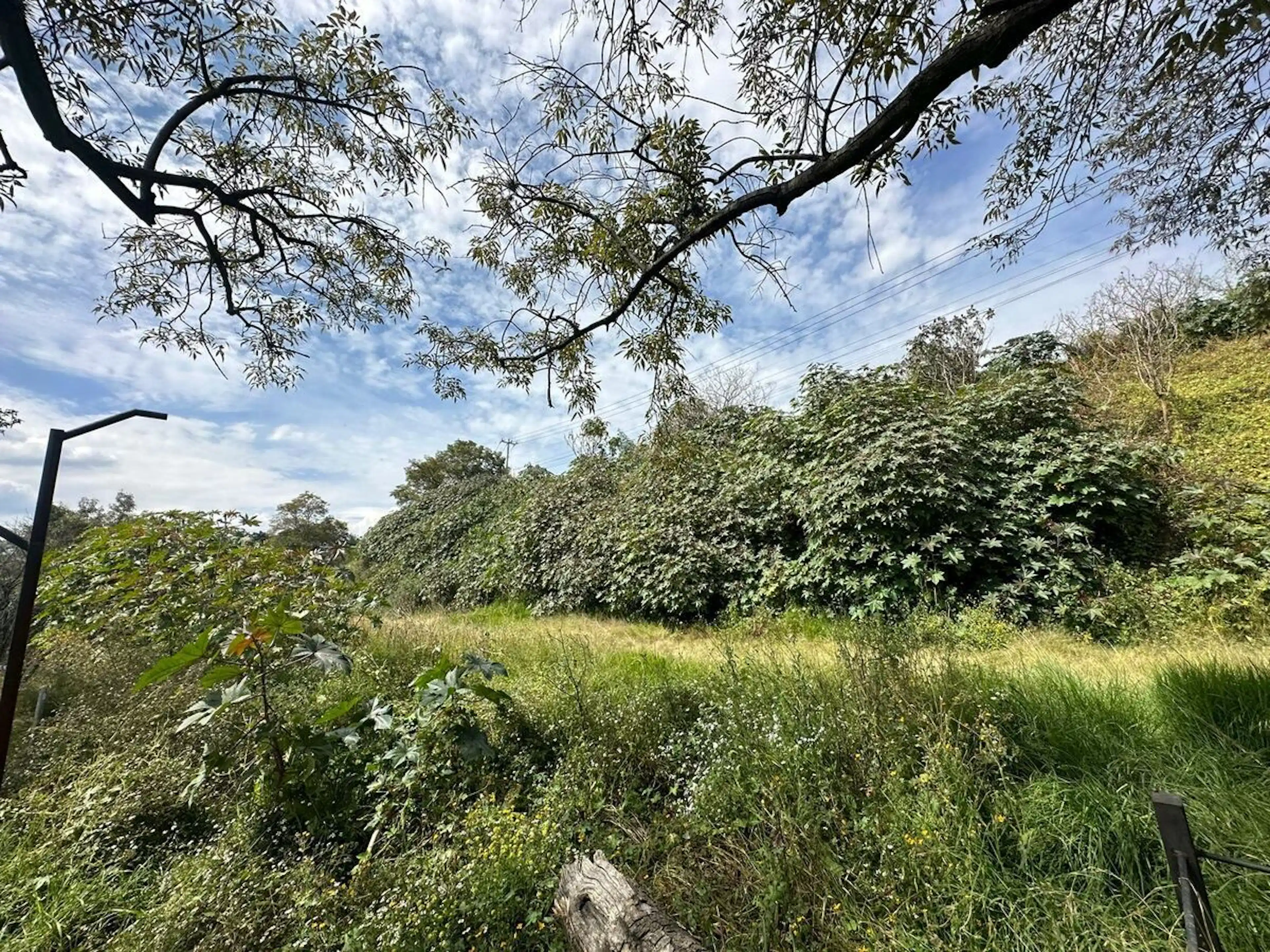 TERRENO EN VENTA EN NICOLAS ROMERO, EDOMEX