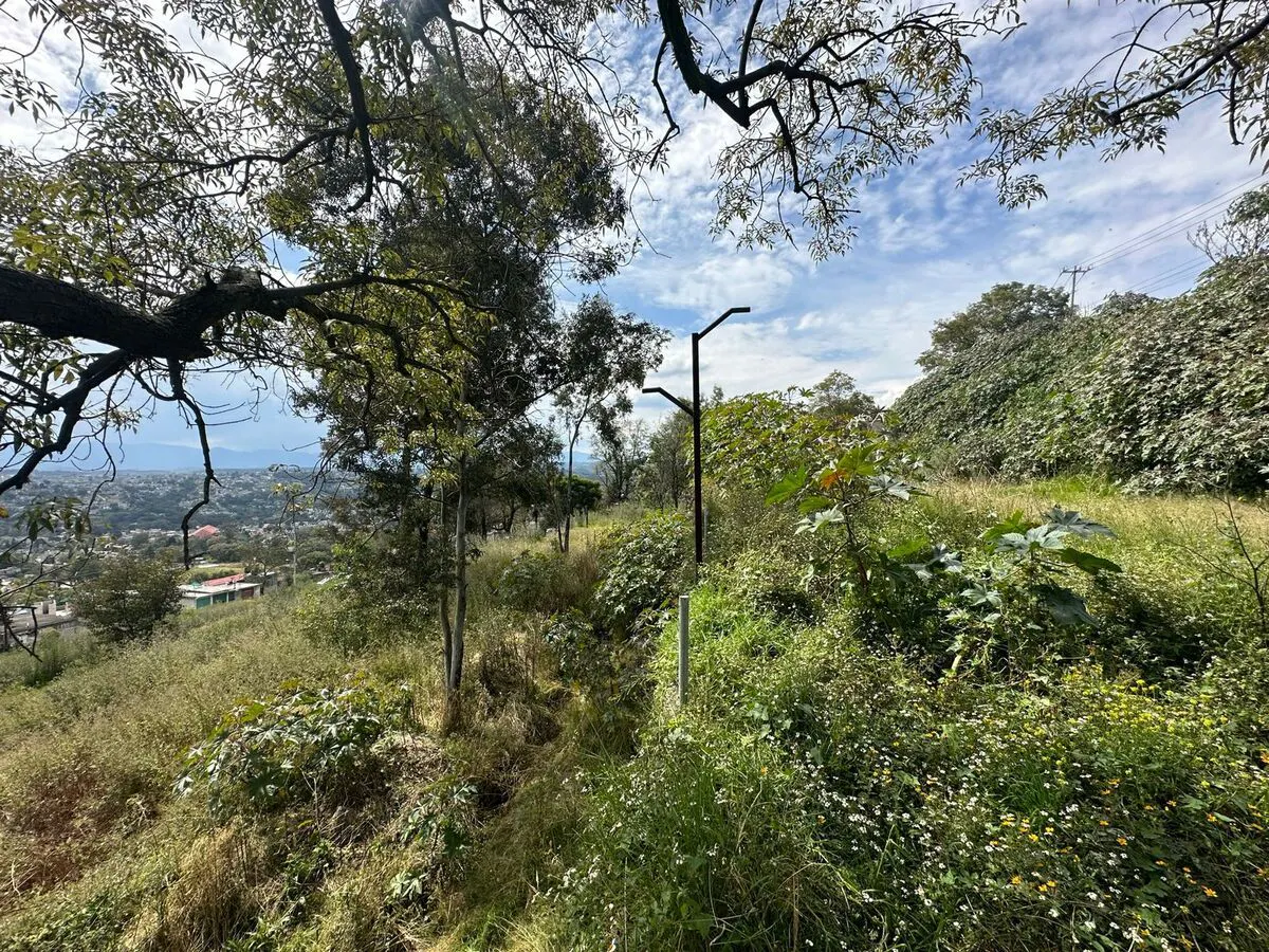 Terreno Spot2