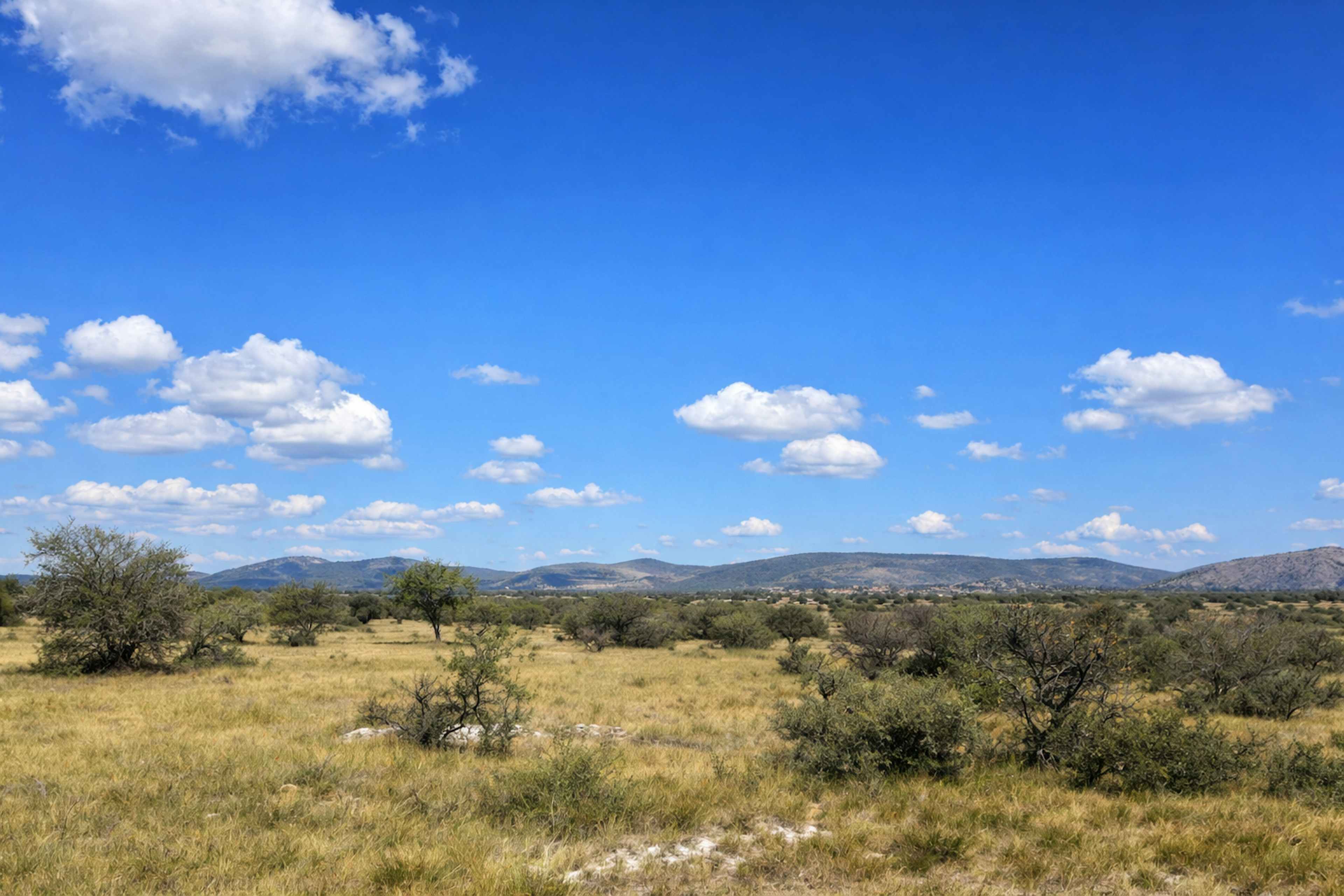 Terreno En San Miguel De Allende–dolores Hidalgo