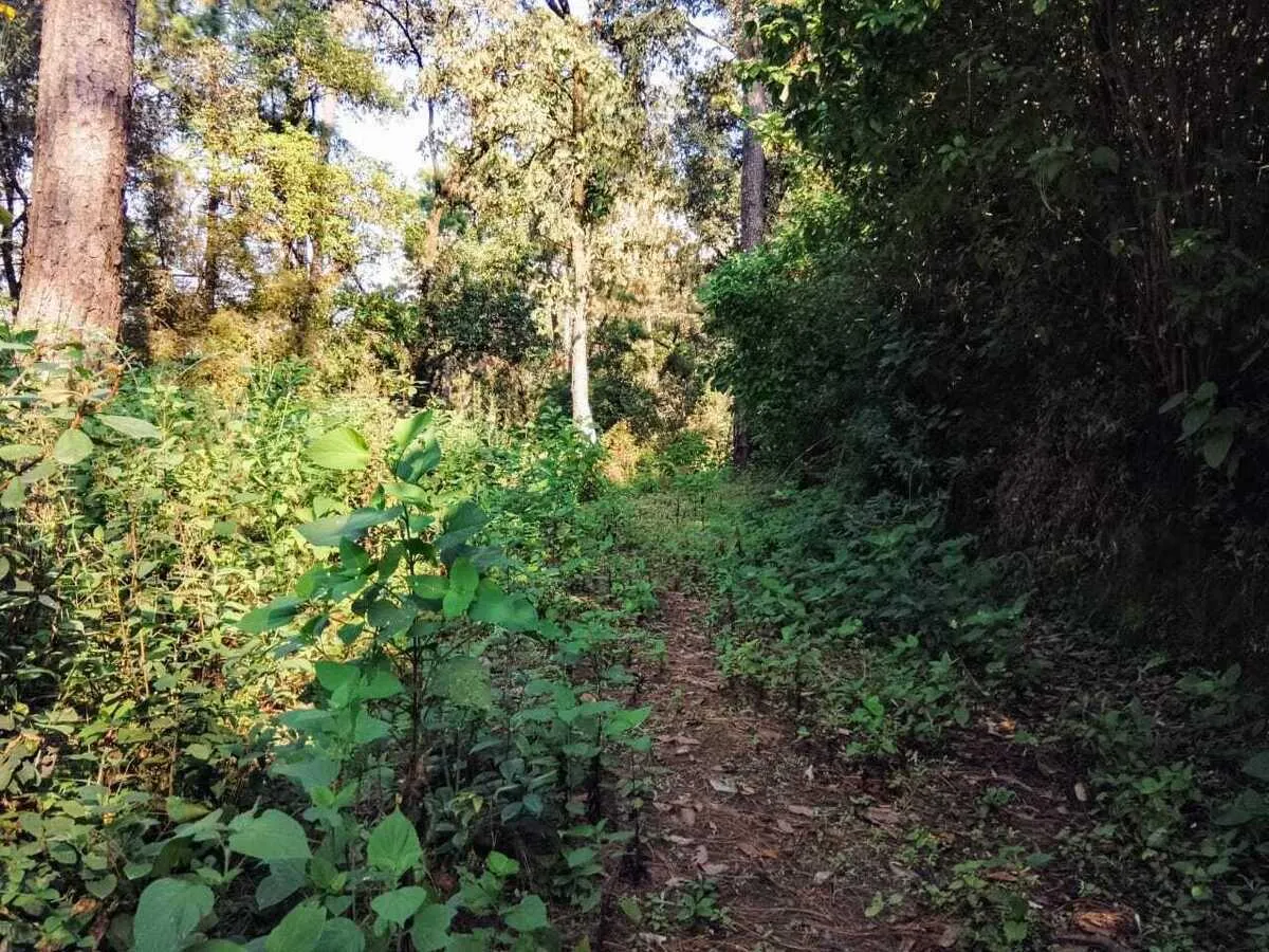 Terreno Spot2