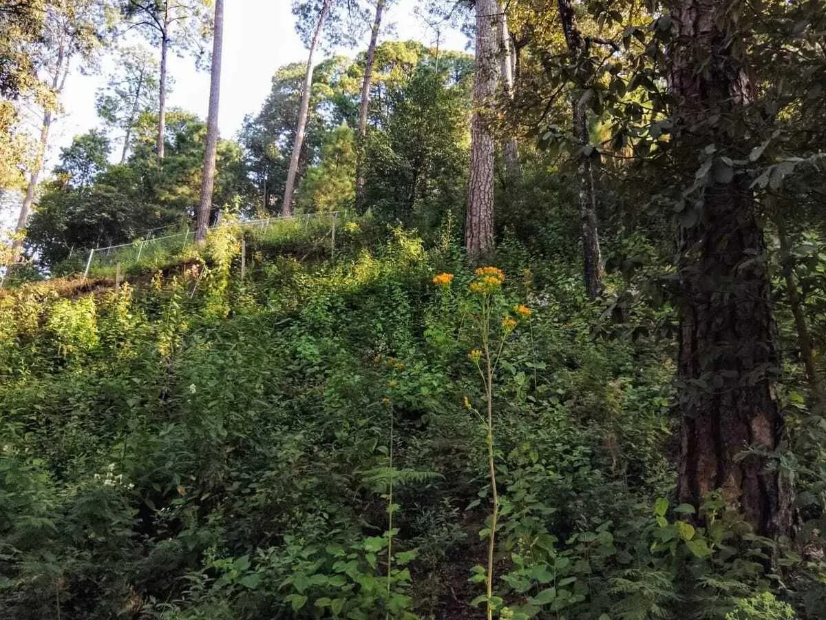 Terreno Spot2
