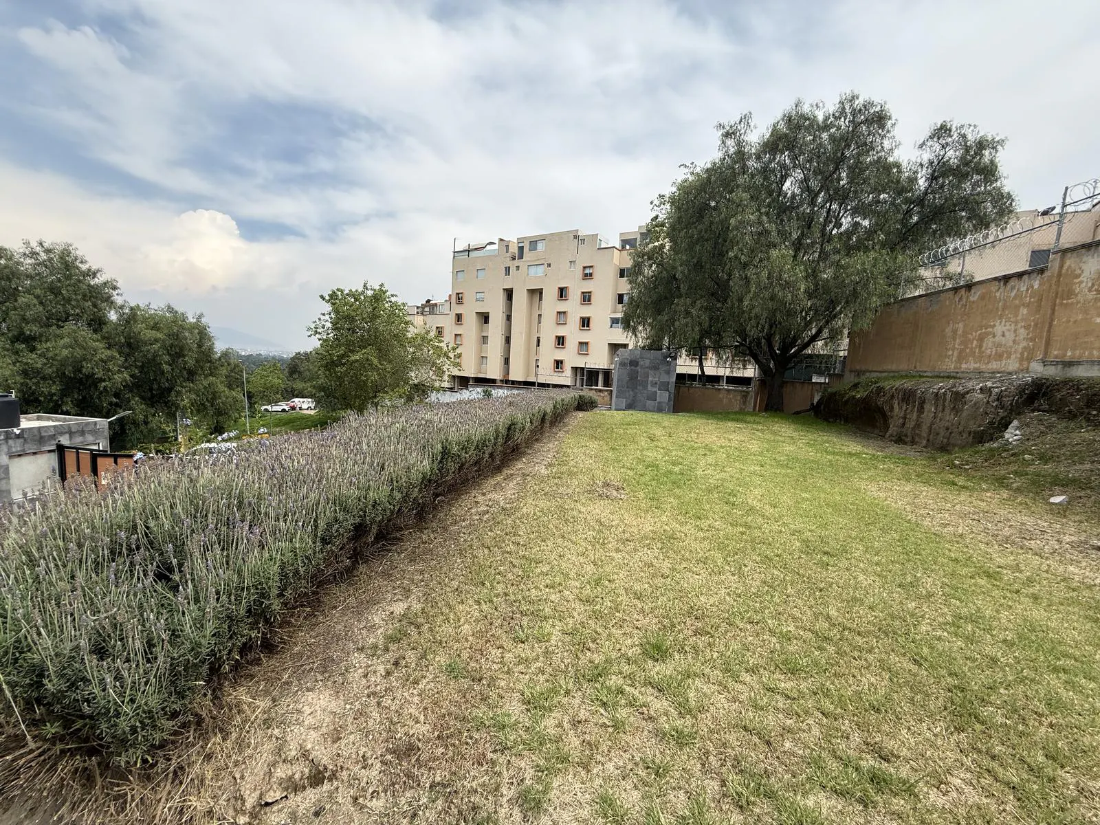 Terreno Spot2