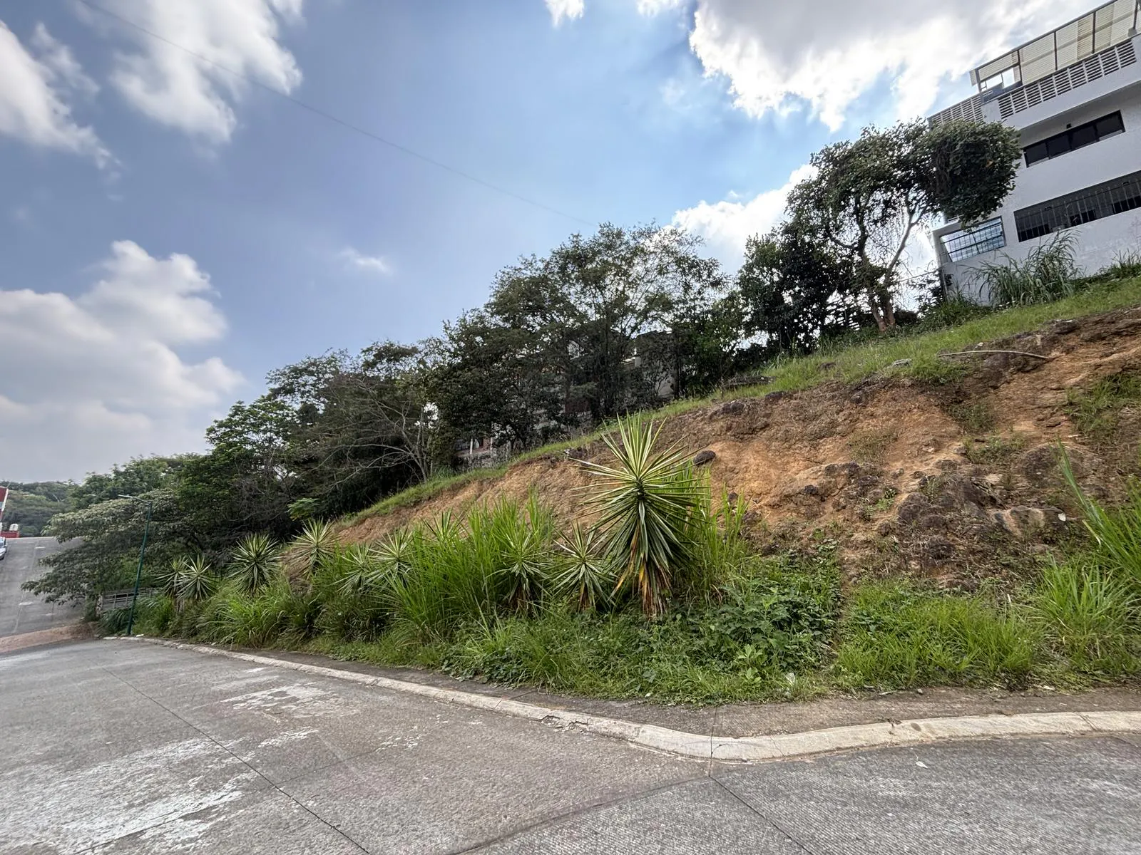 Terreno Spot2