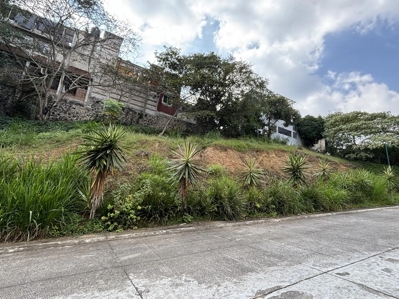 Terreno Spot2