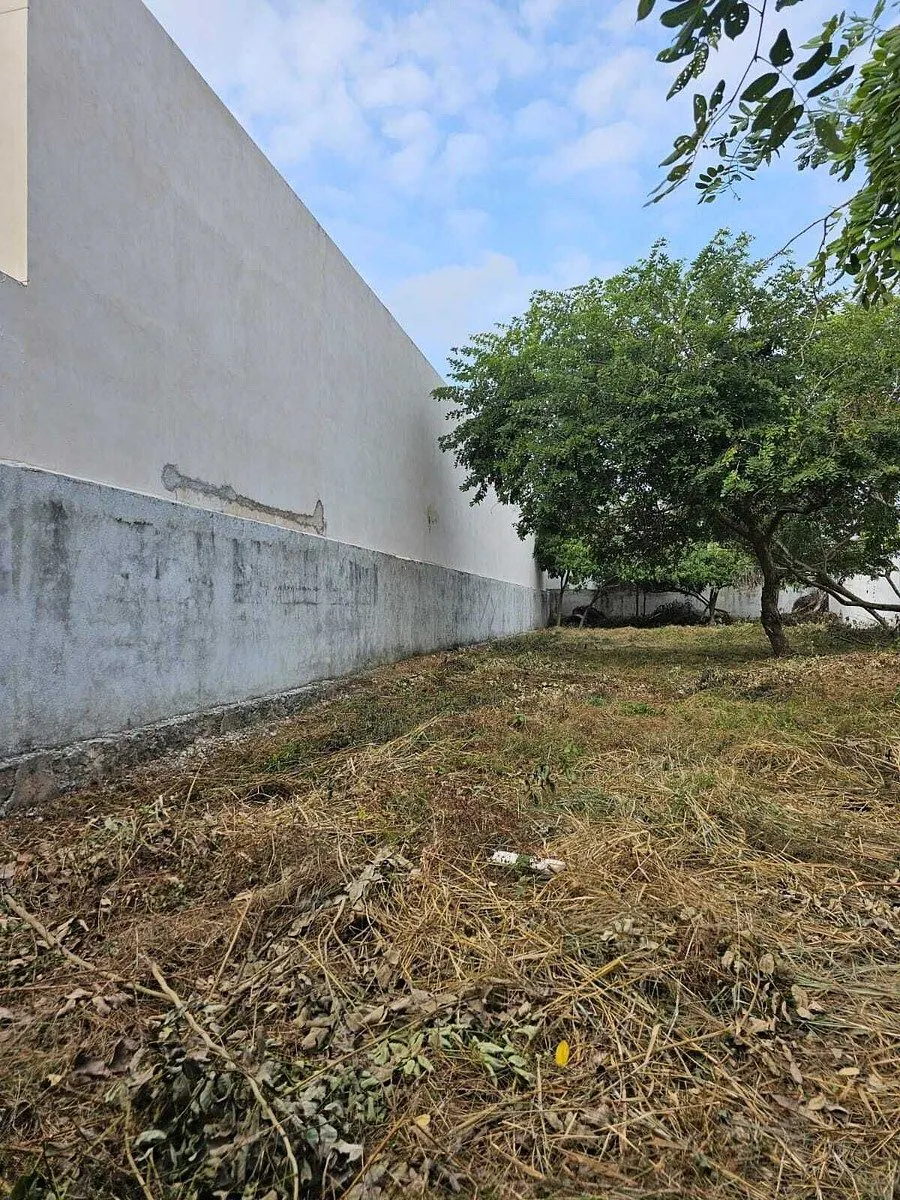 Terreno Spot2