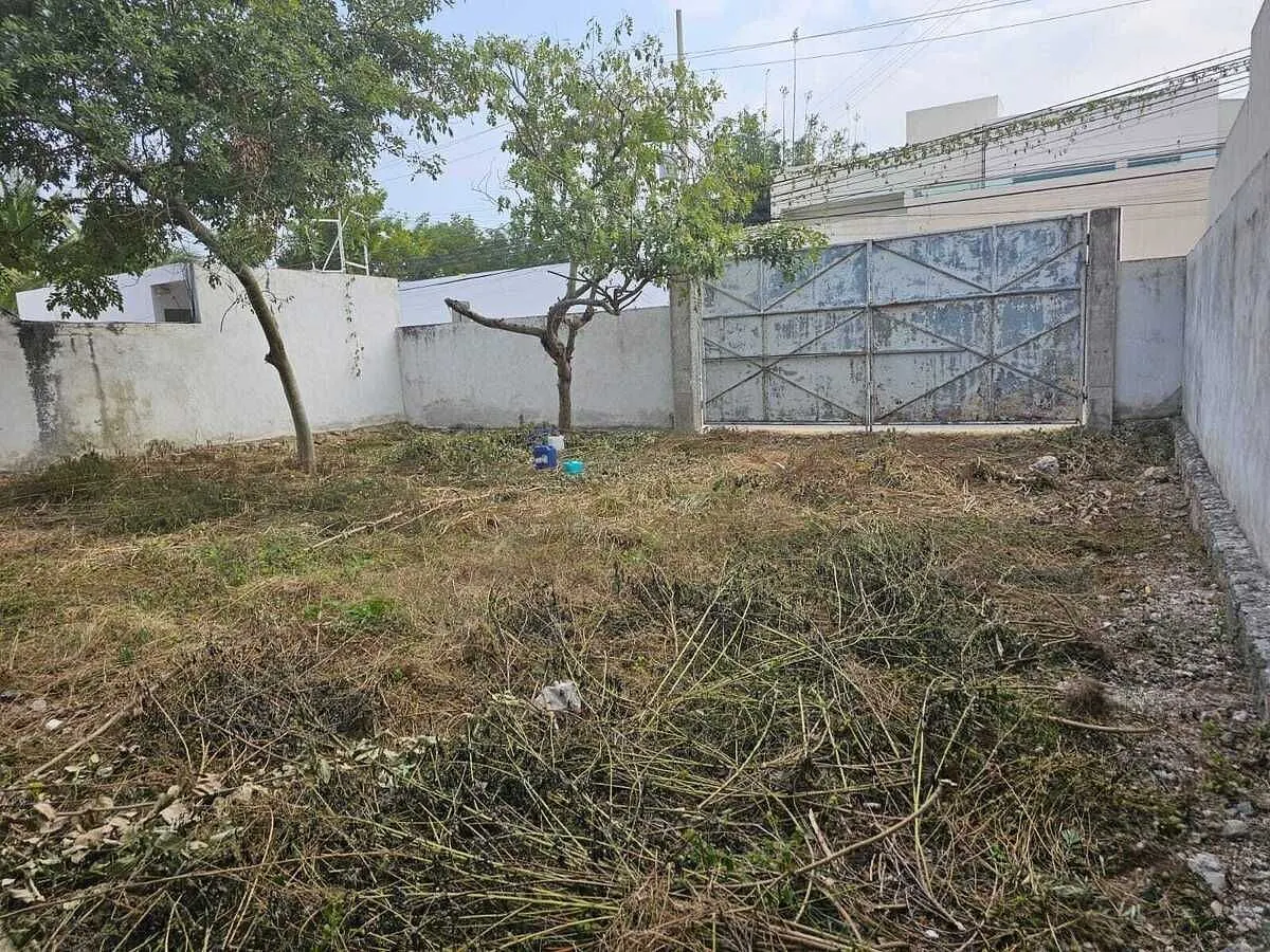 Terreno Spot2