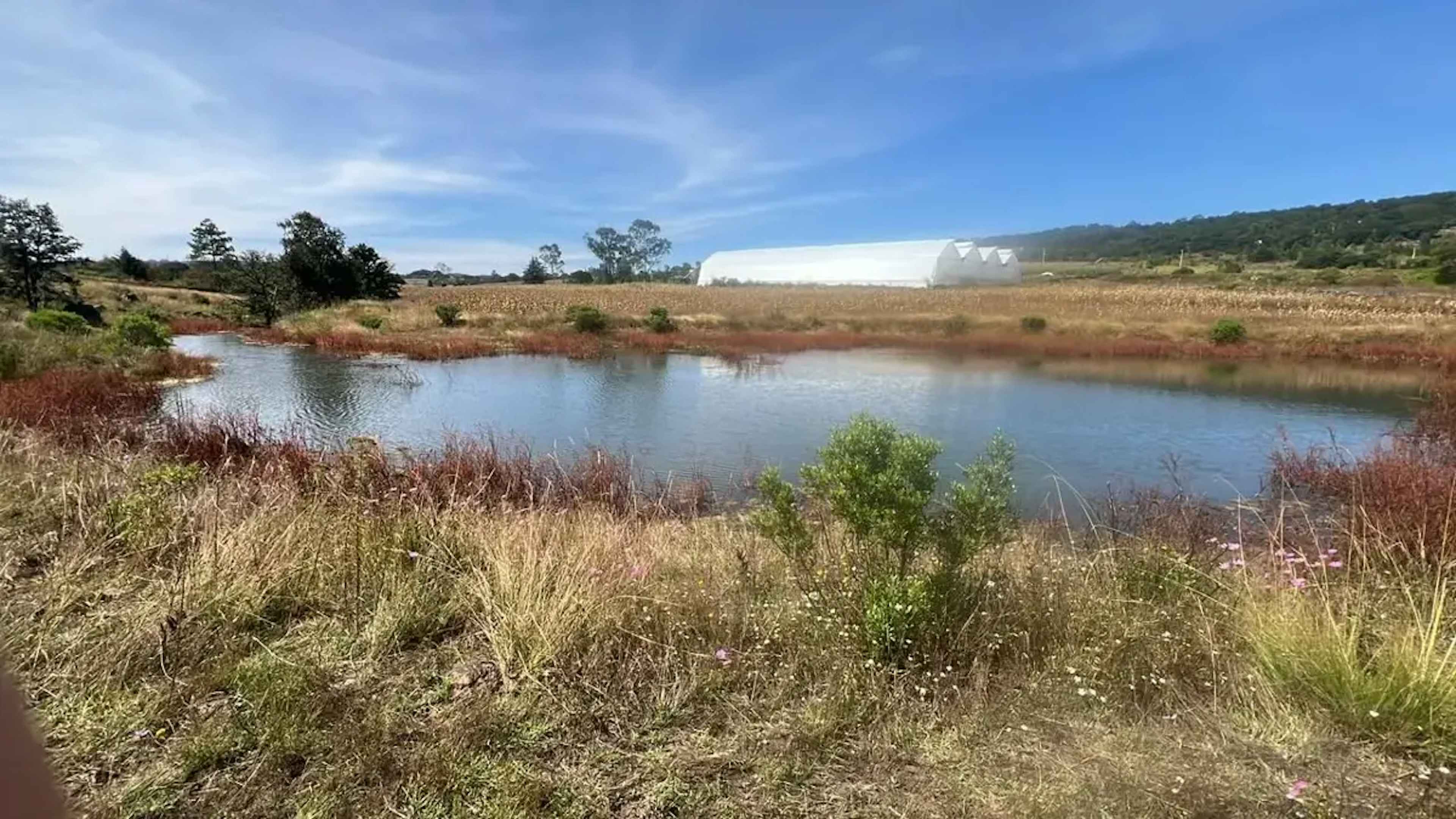 Terreno En Venta En San Pedro Tenango, Amealco De Bonfil, Querétaro