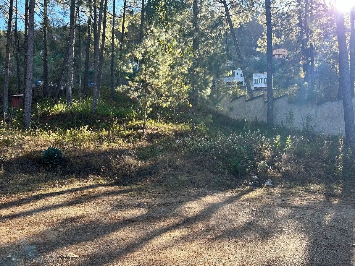 Terreno Spot2
