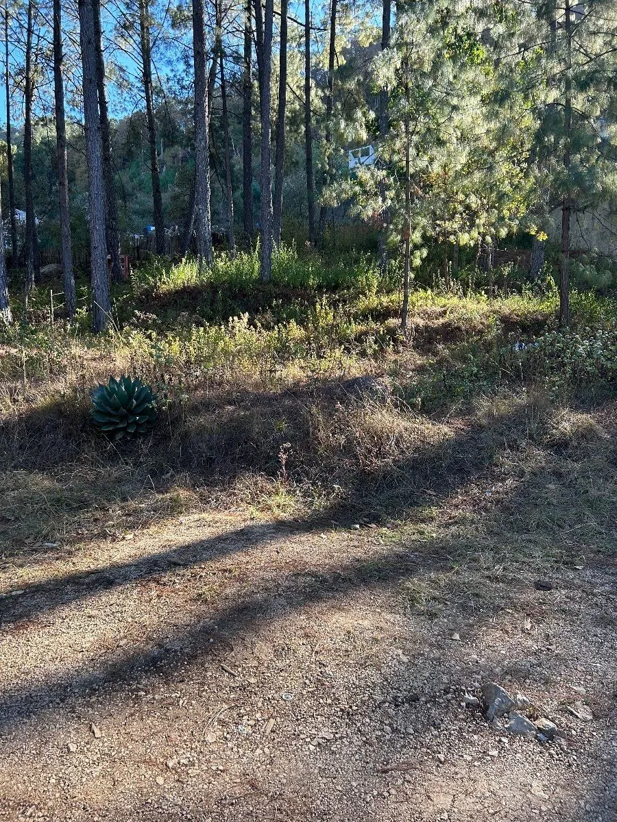 Terreno Spot2
