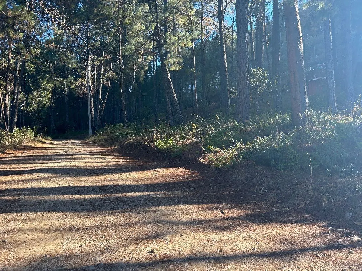 Terreno Spot2