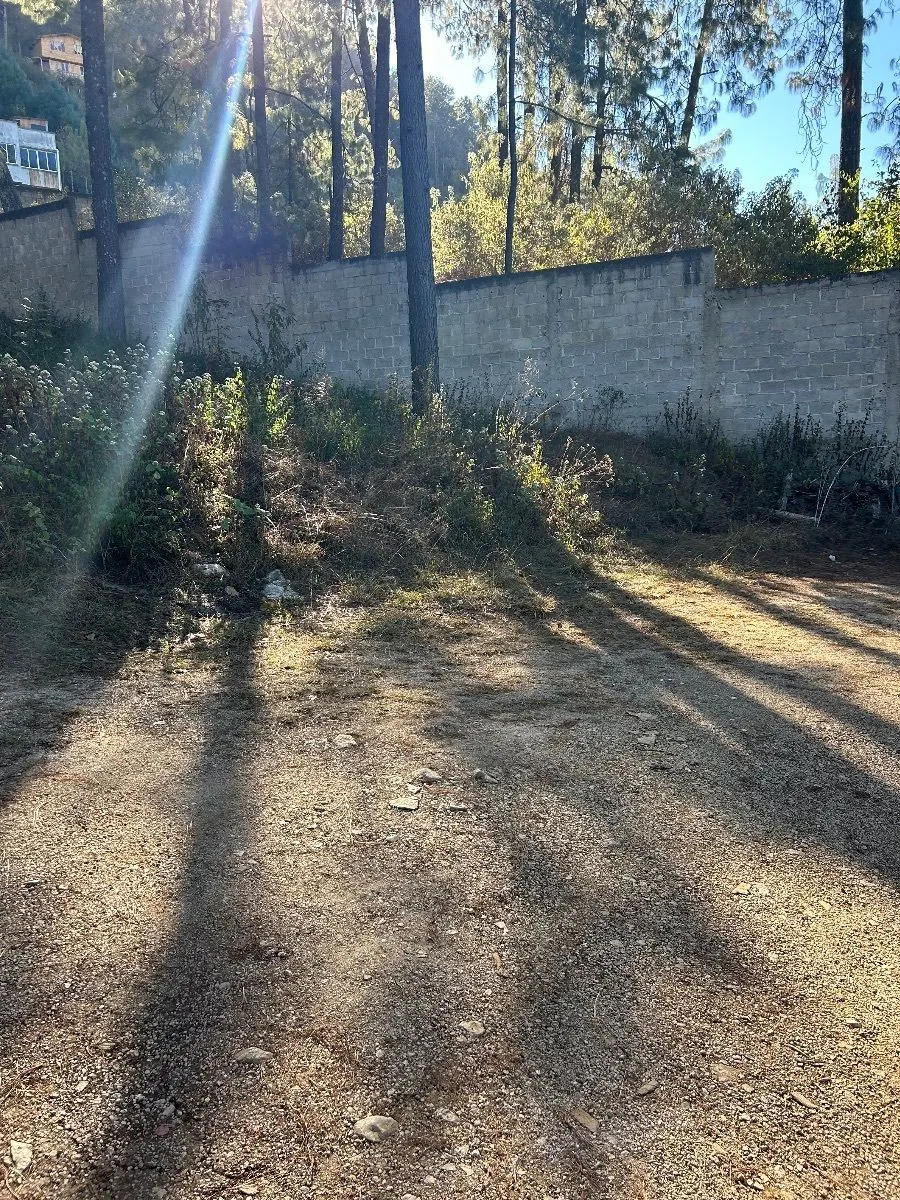 Terreno Spot2