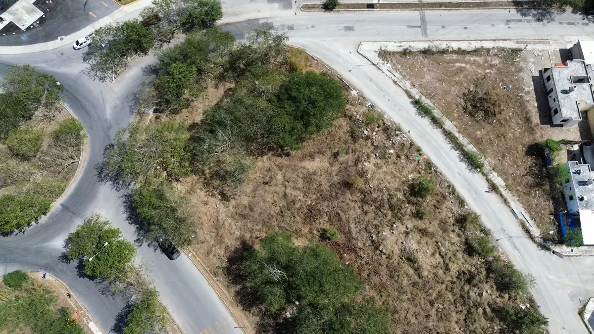 Terreno Spot2