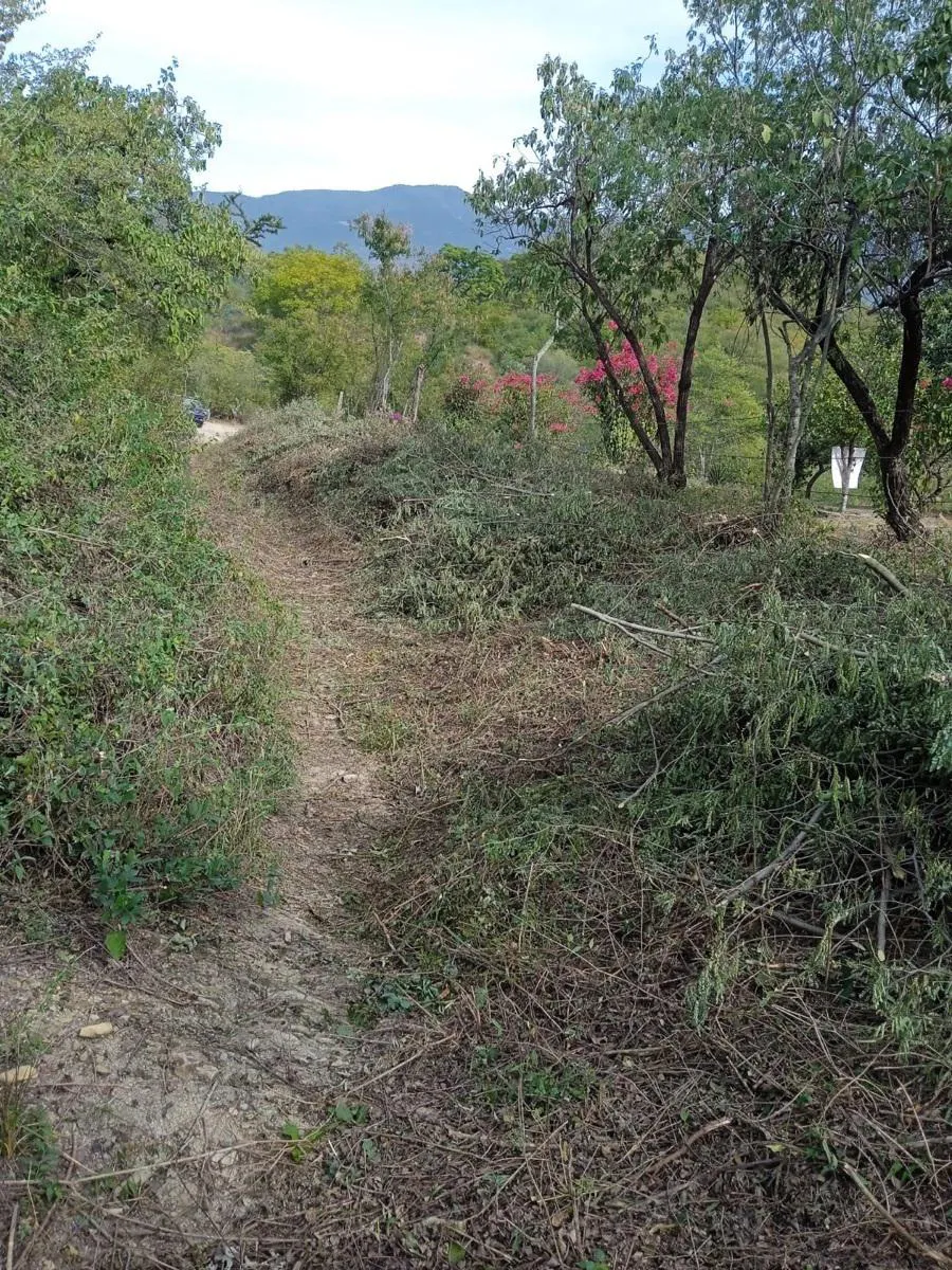 Terreno Spot2