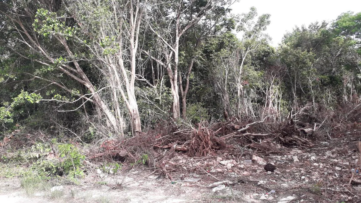 Terreno Spot2