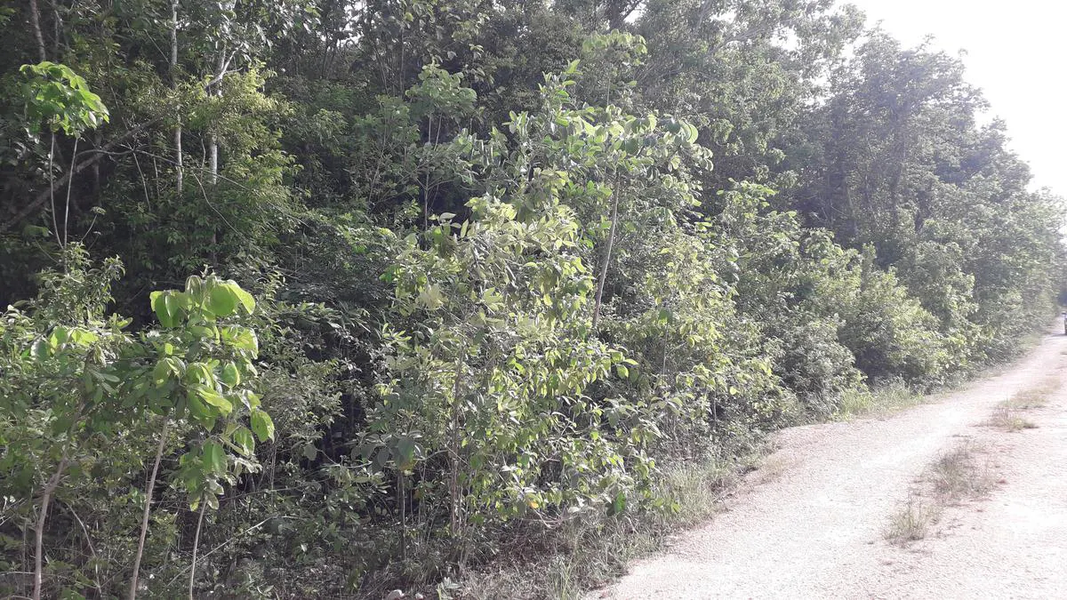 Terreno Spot2